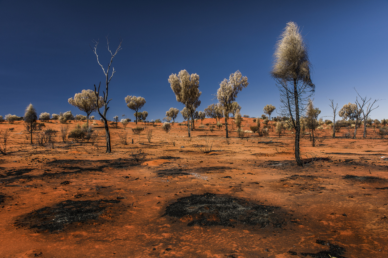 Kritische Schwellen des Erdklimas sind näher als bisher vemutet.