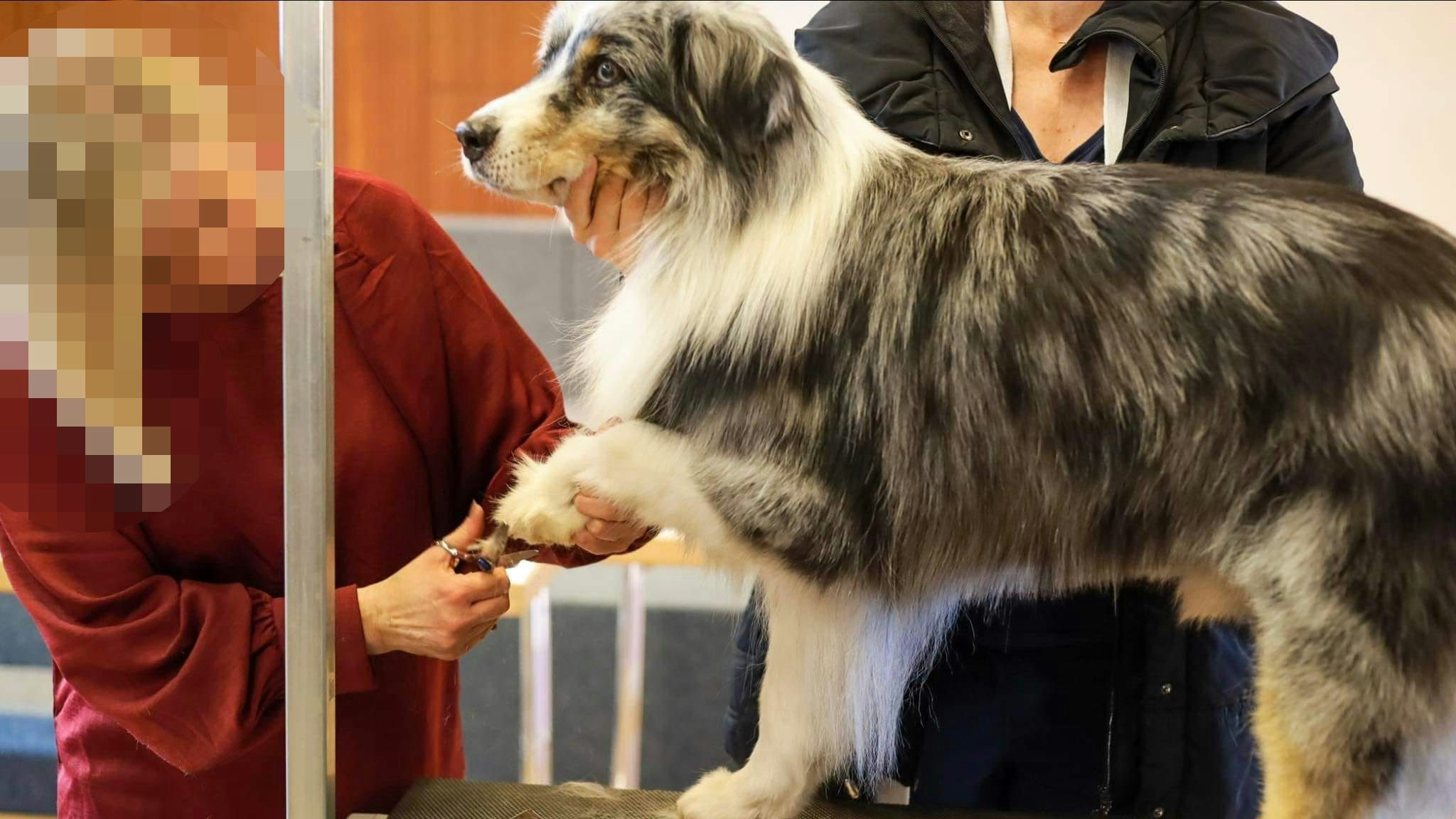 Heute.at - Lebe von 690 Euro – Frau kämpft mit ÖGK-Rückzahlung