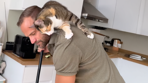 Heute.at - Wiener wird mit Samtpfoten zum Petfluencer-Star