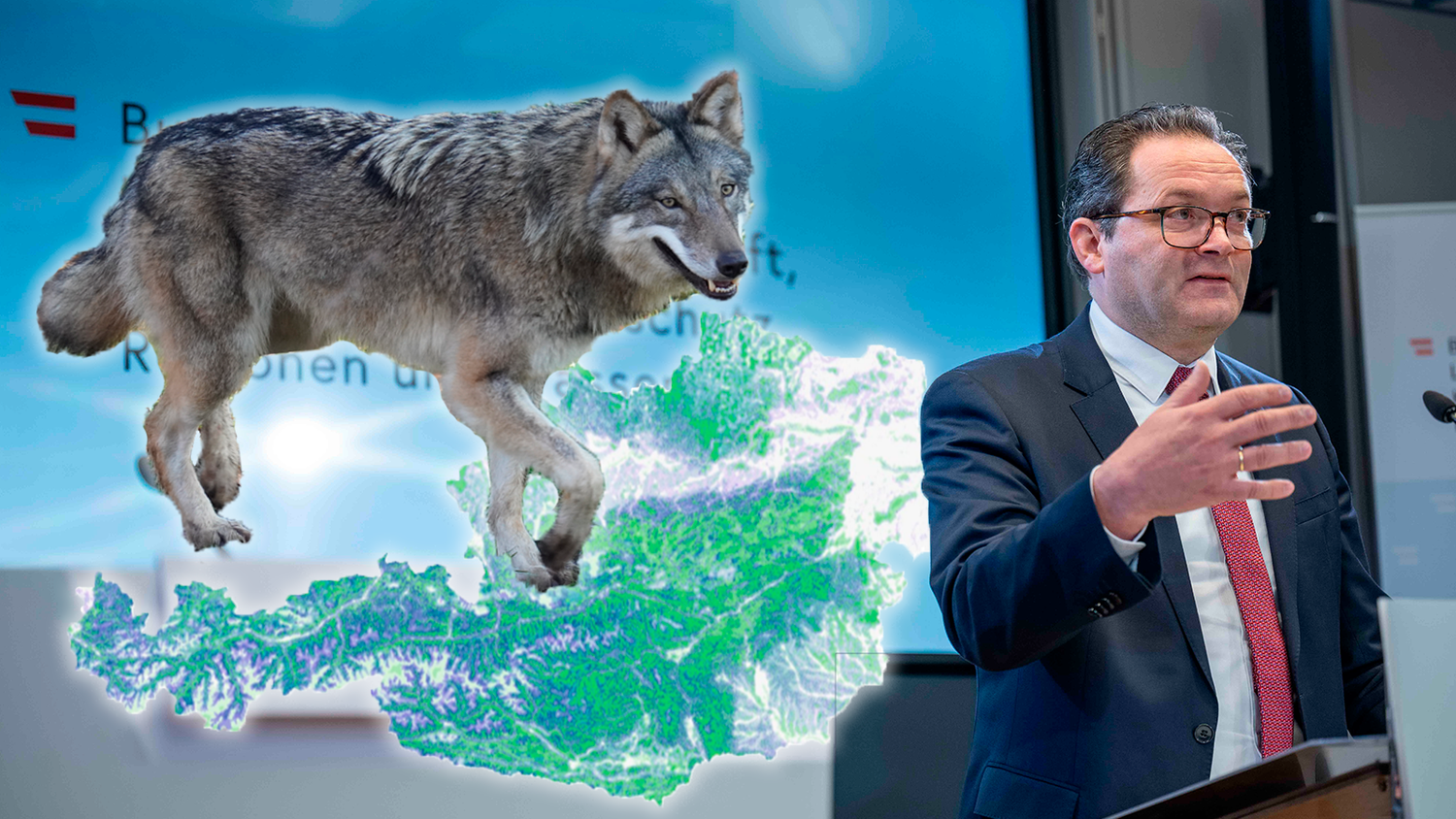Heute.at - Neue Karte zeigt, wo in Österreich Wolf-Gefahr lauert
