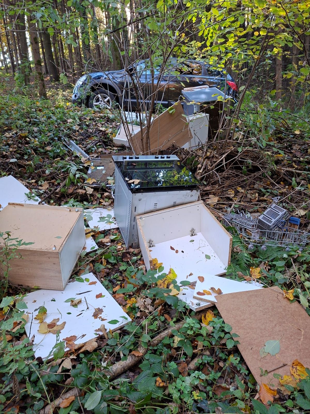 In Mannersdorf wurde Müll im Wald entsorgt.