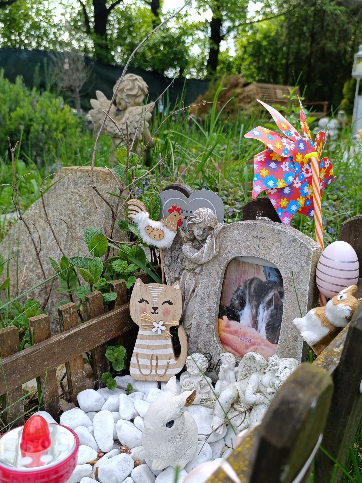 Heute.at - Friedhof der Tiere lädt zum Tag der offenen Tür