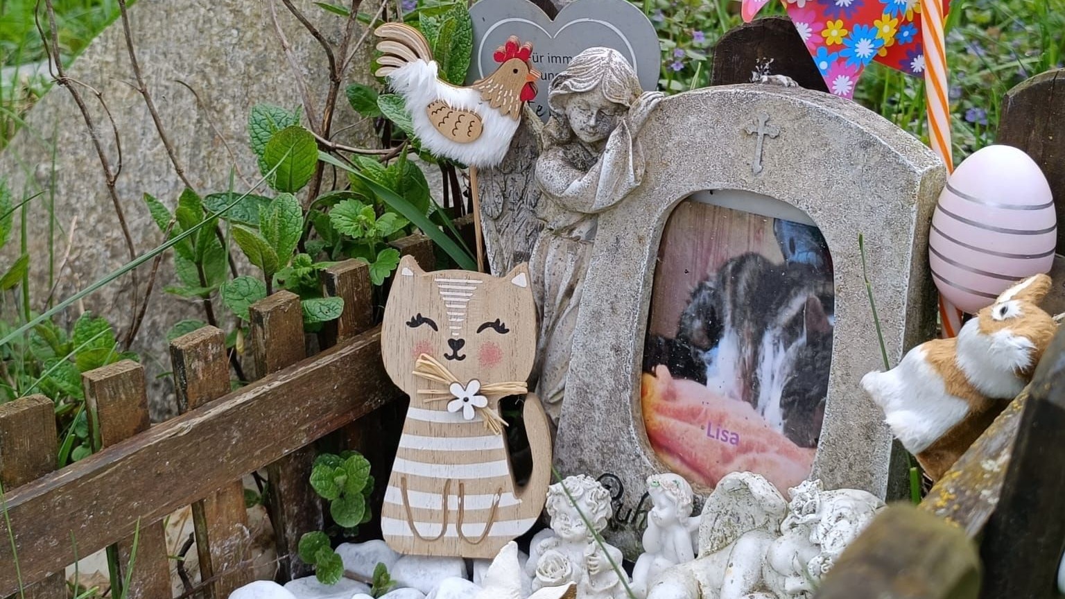 Heute.at - Friedhof der Tiere lädt zum Tag der offenen Tür