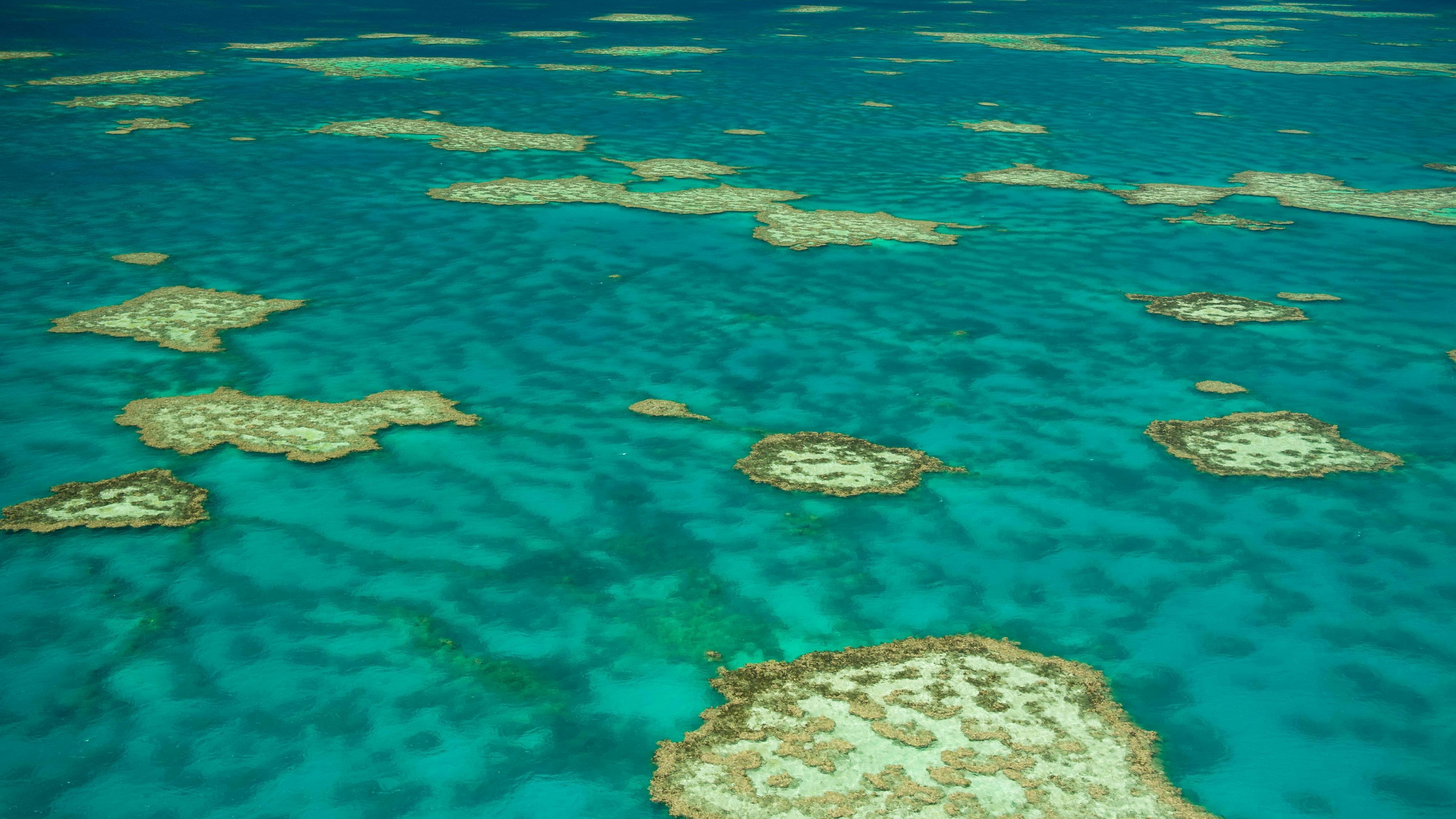Heute.at - Kreuzfahrtschiff lässt Frau auf Insel zurück – tot