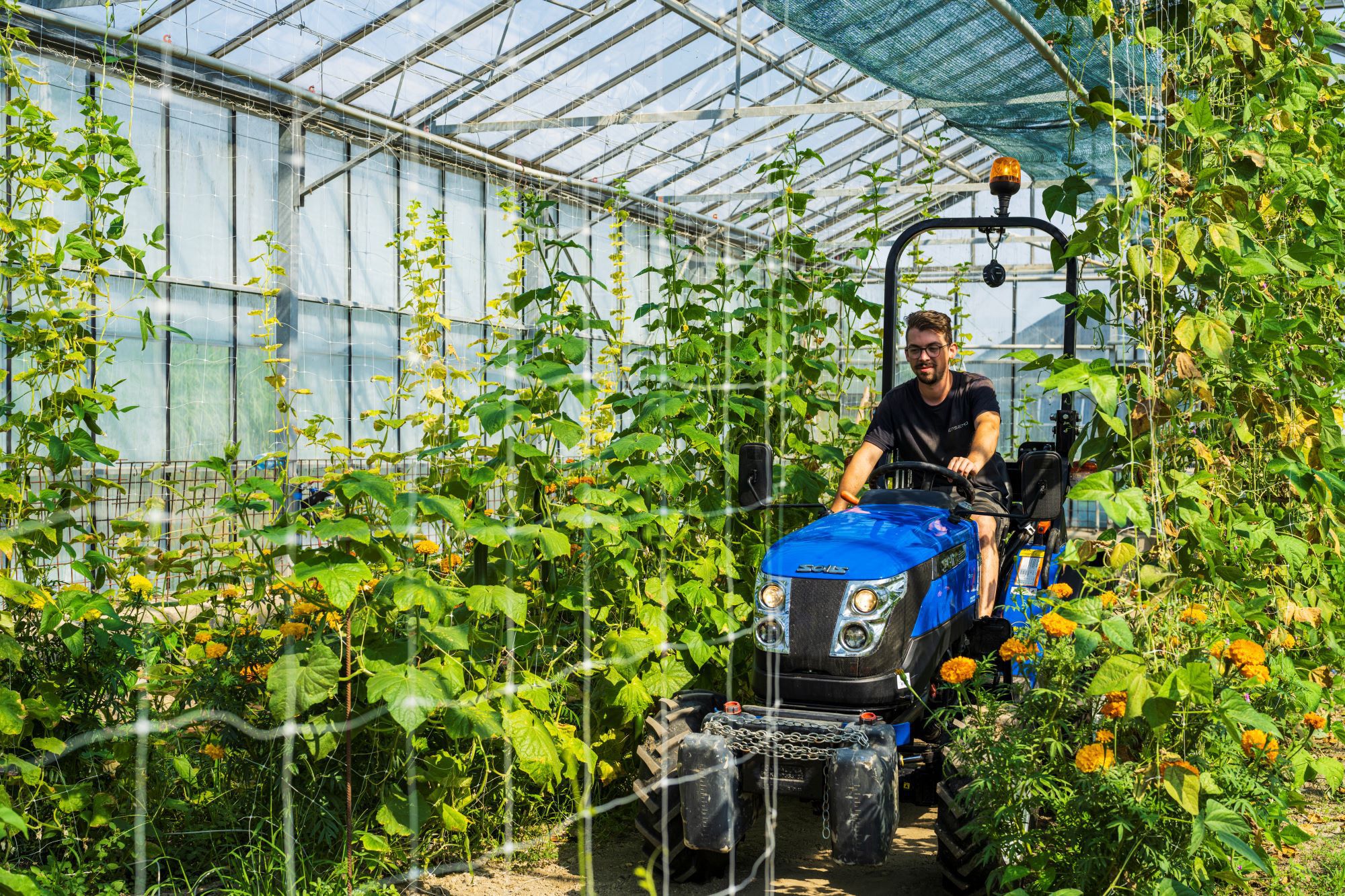 Nikolaus Pfaffenbichler, ensemo GmbH: Statt chemischen Pestiziden und Düngemitteln werden Mikroorganismen in Soja-Saatgut injiziert.