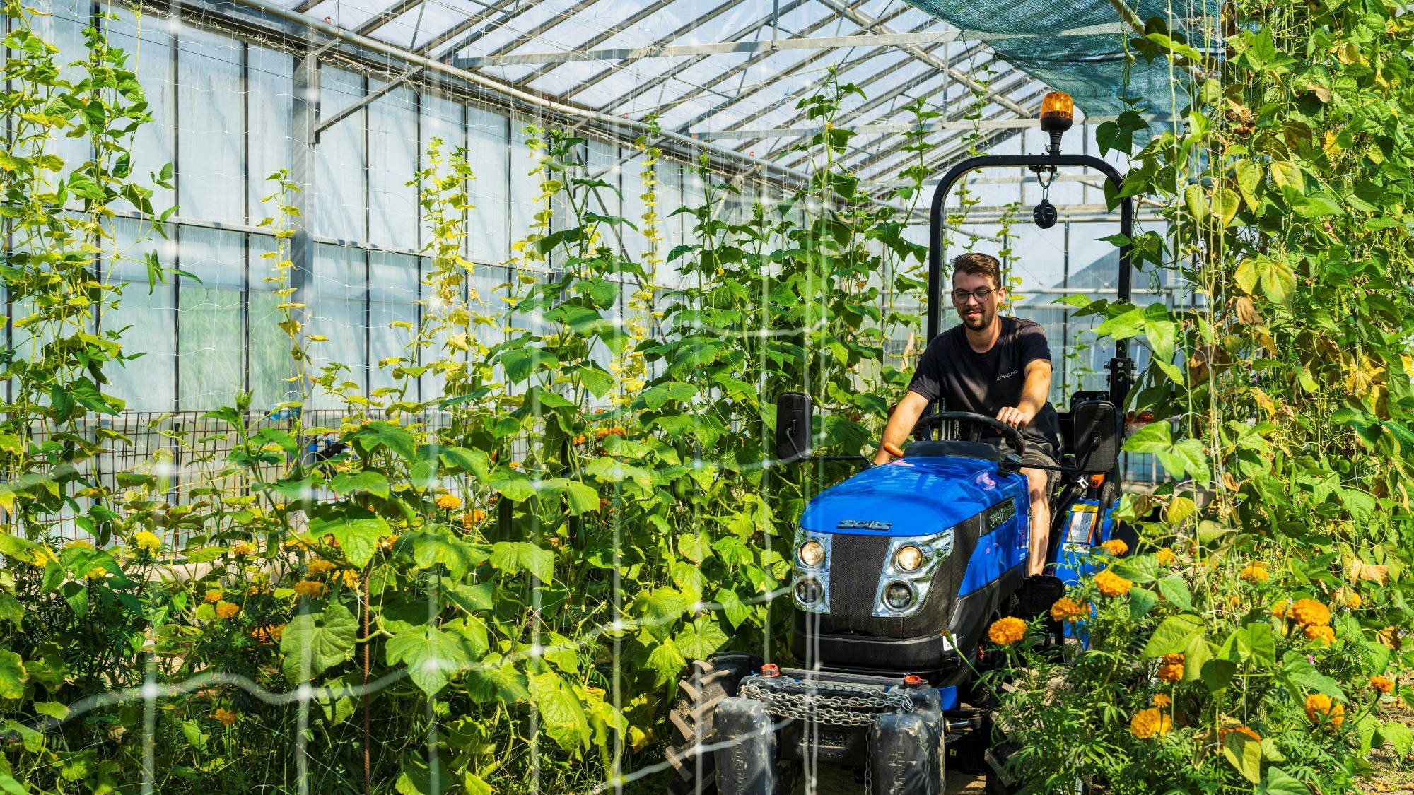 Heute.at - Bio-Spritzen für Soja als Chemie-Alternative