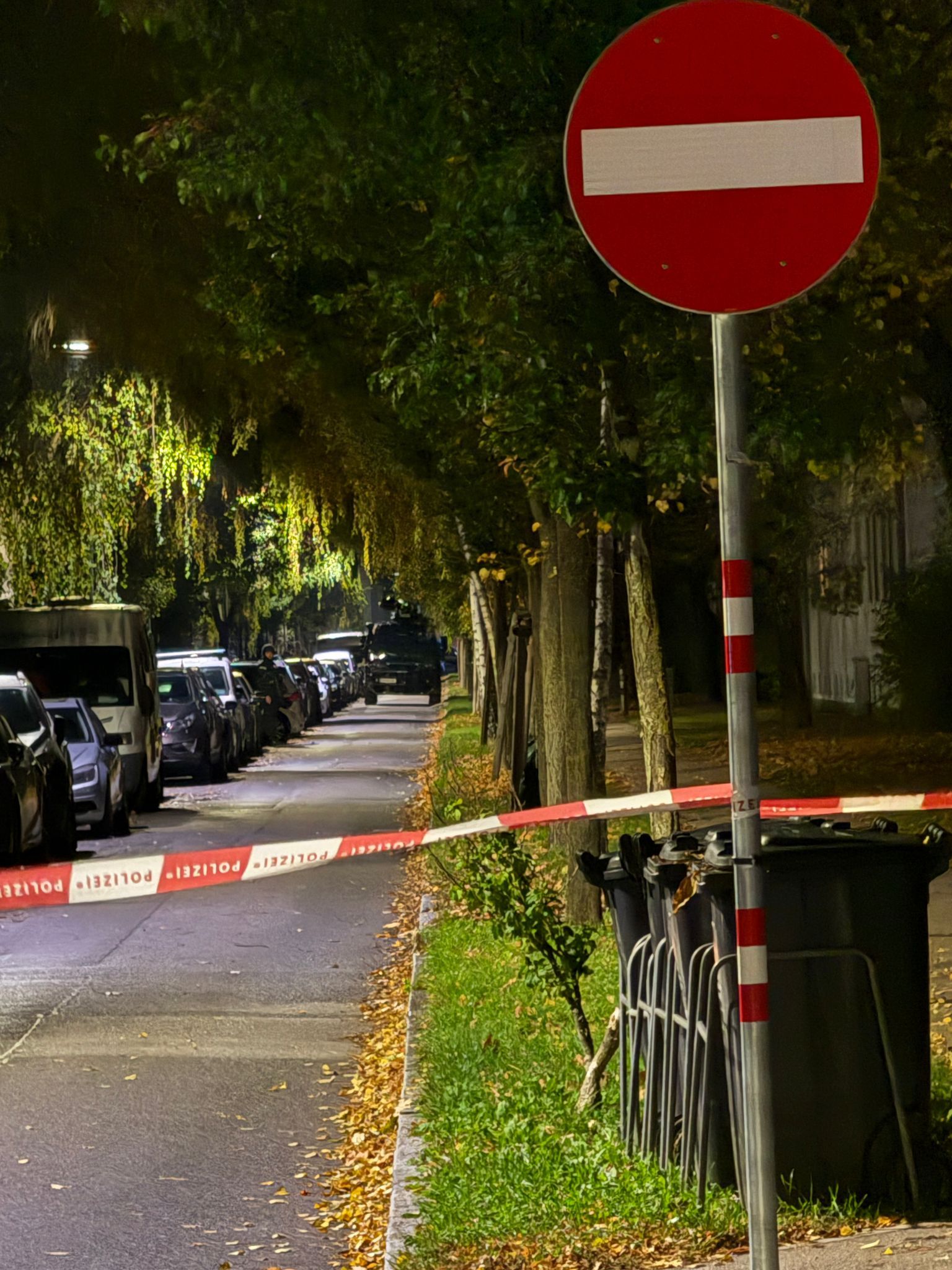 Cobra-Einsatz in der Wanklächergasse (Wien-Floridsdorf)