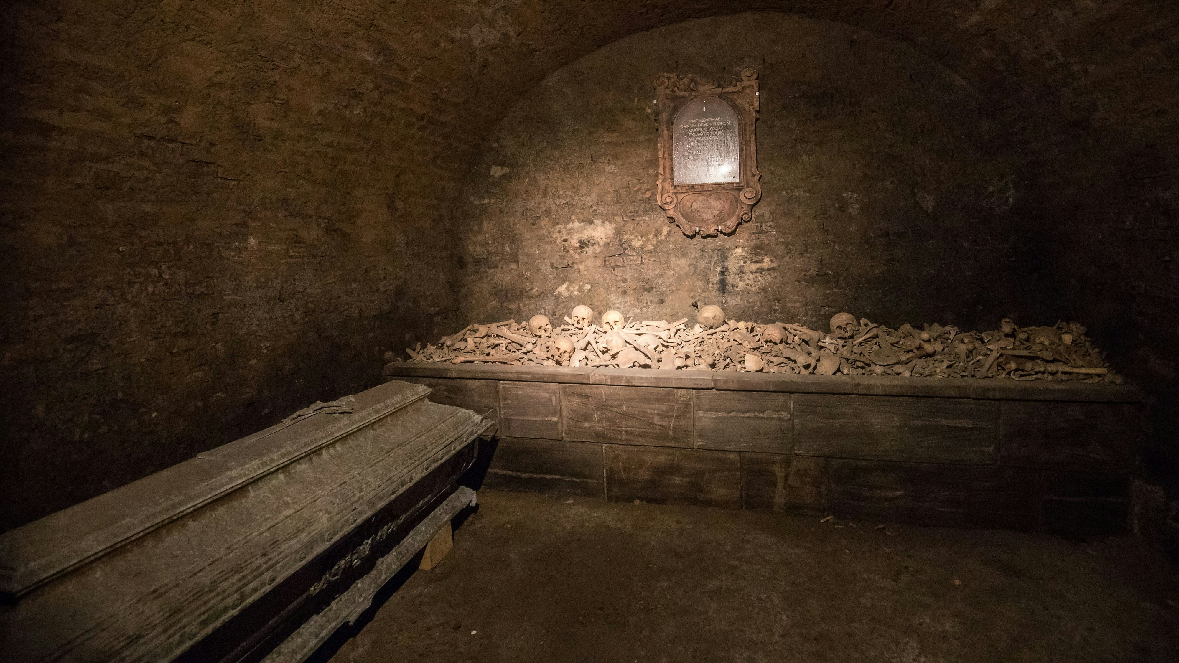 Heute.at - Gestohlener Totenkopf mit Post nach Wien geschickt