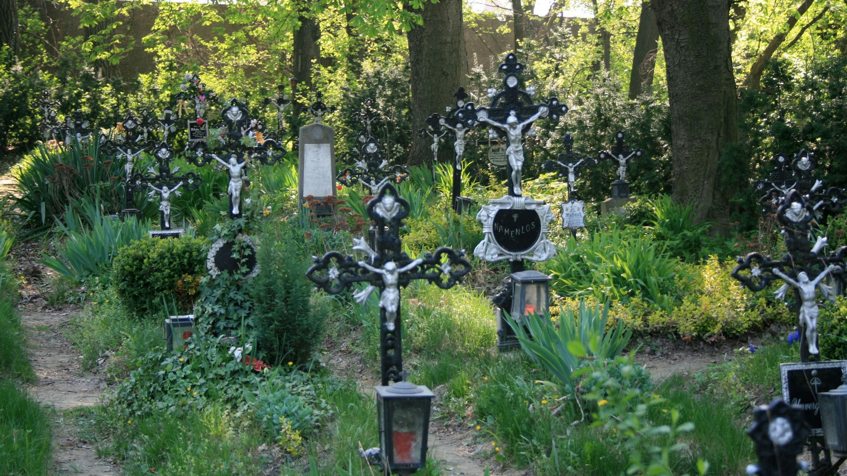 Heute.at - Hunderte Tote in der Donau – niemand kennt ihre Namen