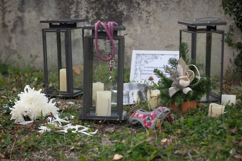 Auch im Tierheim versterben manche Schützlinge, ohne jemals ein Zuhause gefunden zu haben.