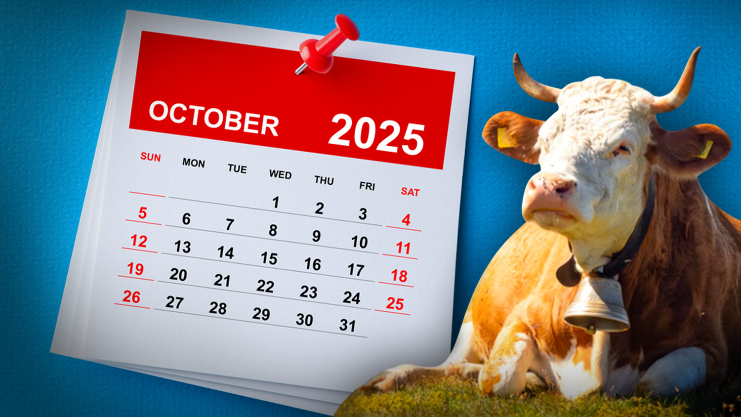 Am 26. Oktober wurde die Uhr um eine Stunde zurückgedreht