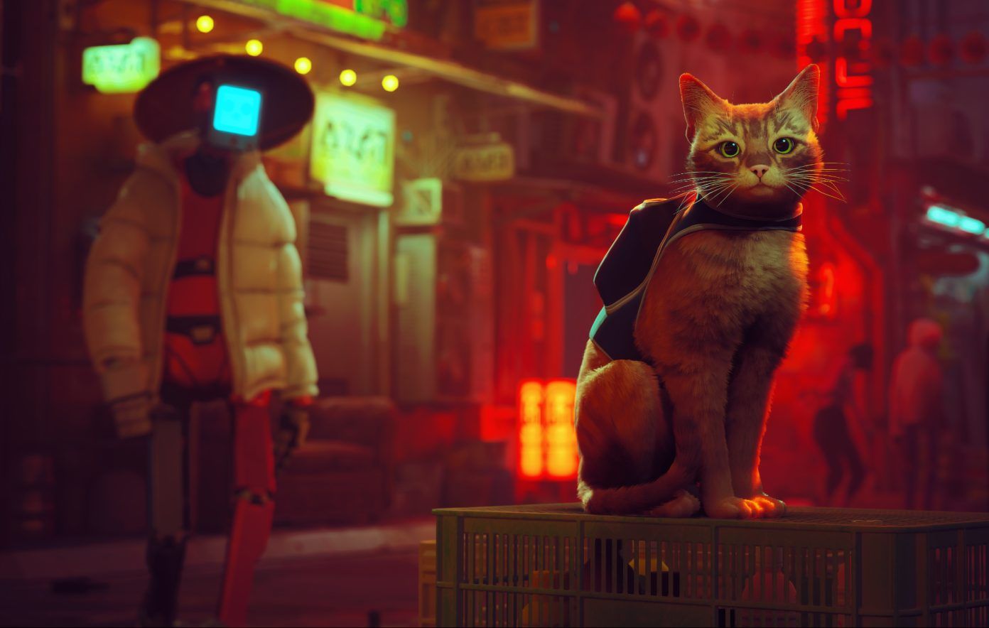 Unter den PlayStation-Plus-Games ist auch das Katzen-Abenteuer 