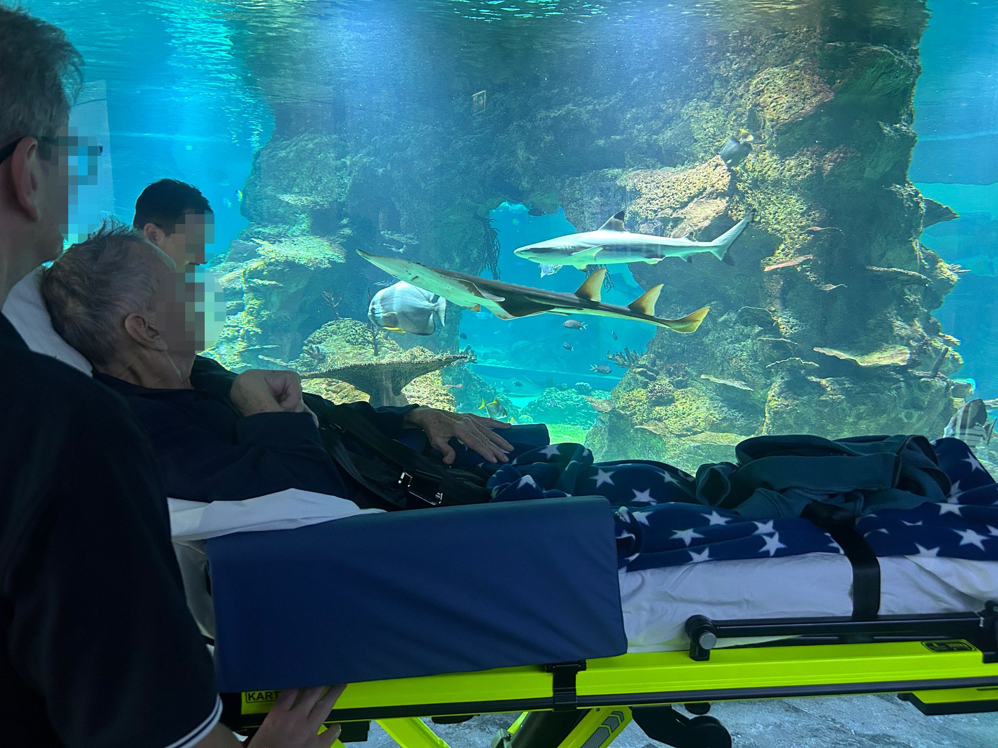 Holger wollte noch einmal die Haie im Haus des Meeres in Wien sehen.