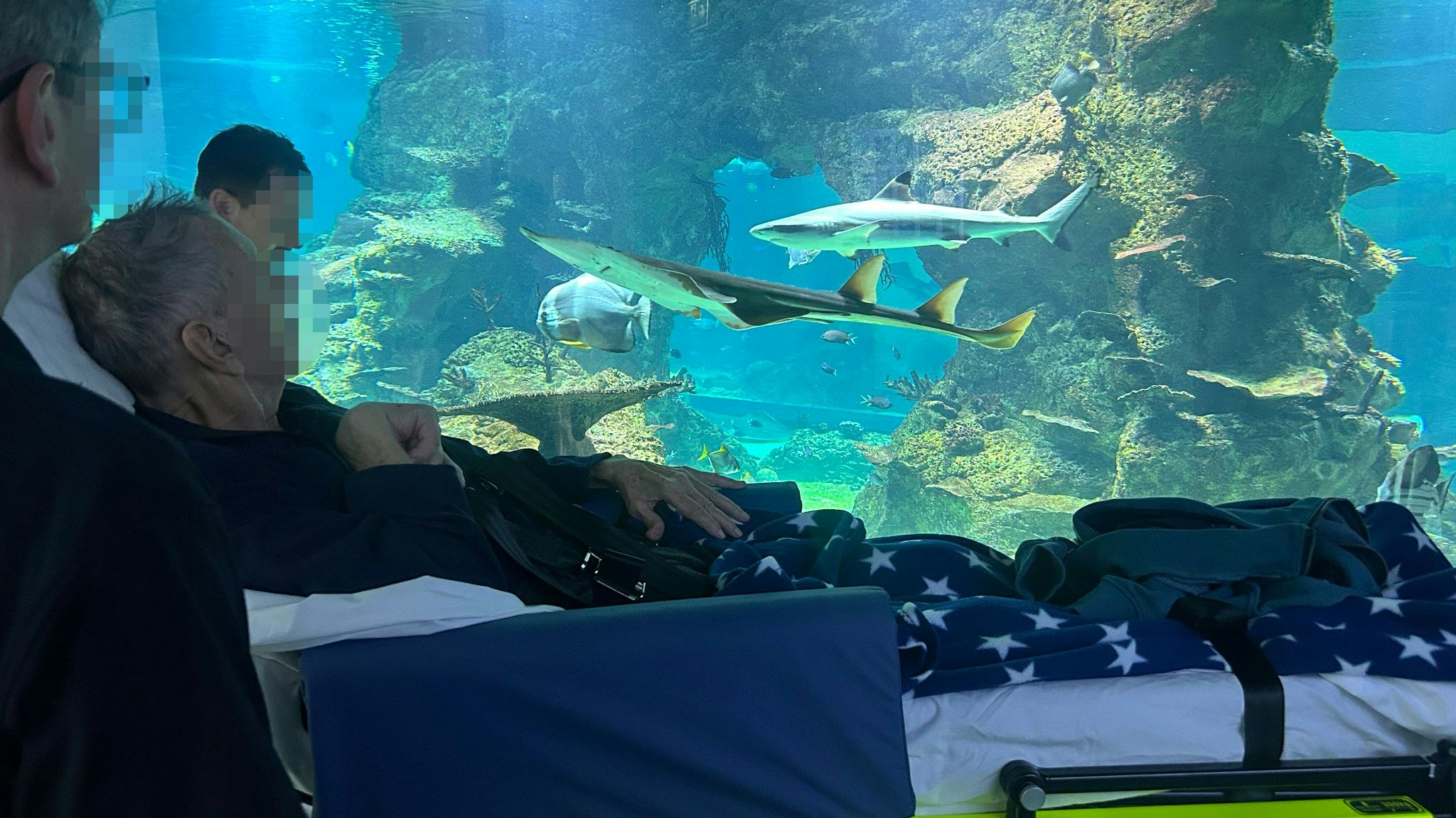 Heute.at - Todkranker Holger wollte ein letztes Mal Haie sehen