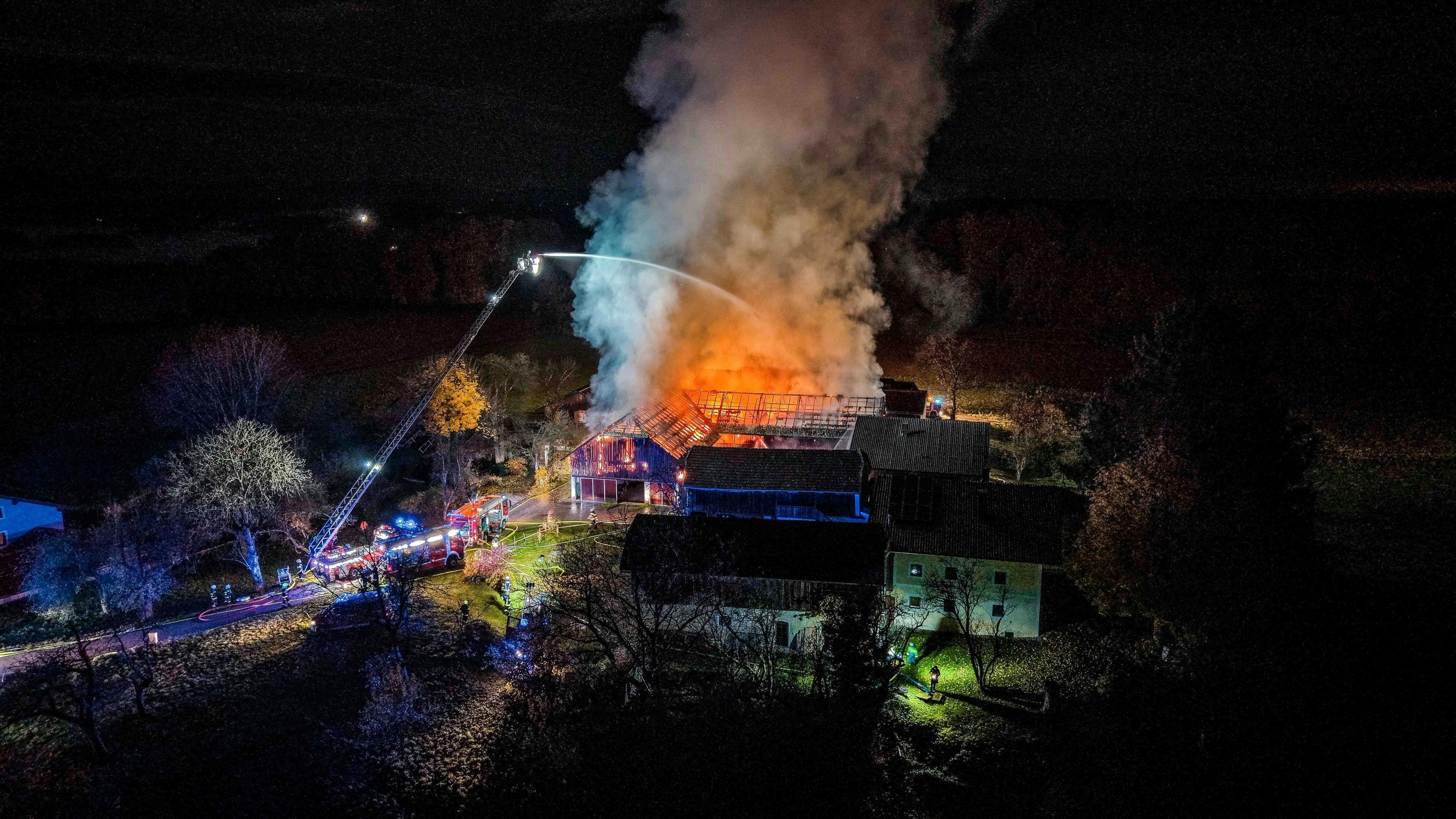 Heute.at - Feuer-Inferno auf Bauernhof – Baby und Kühe gerettet