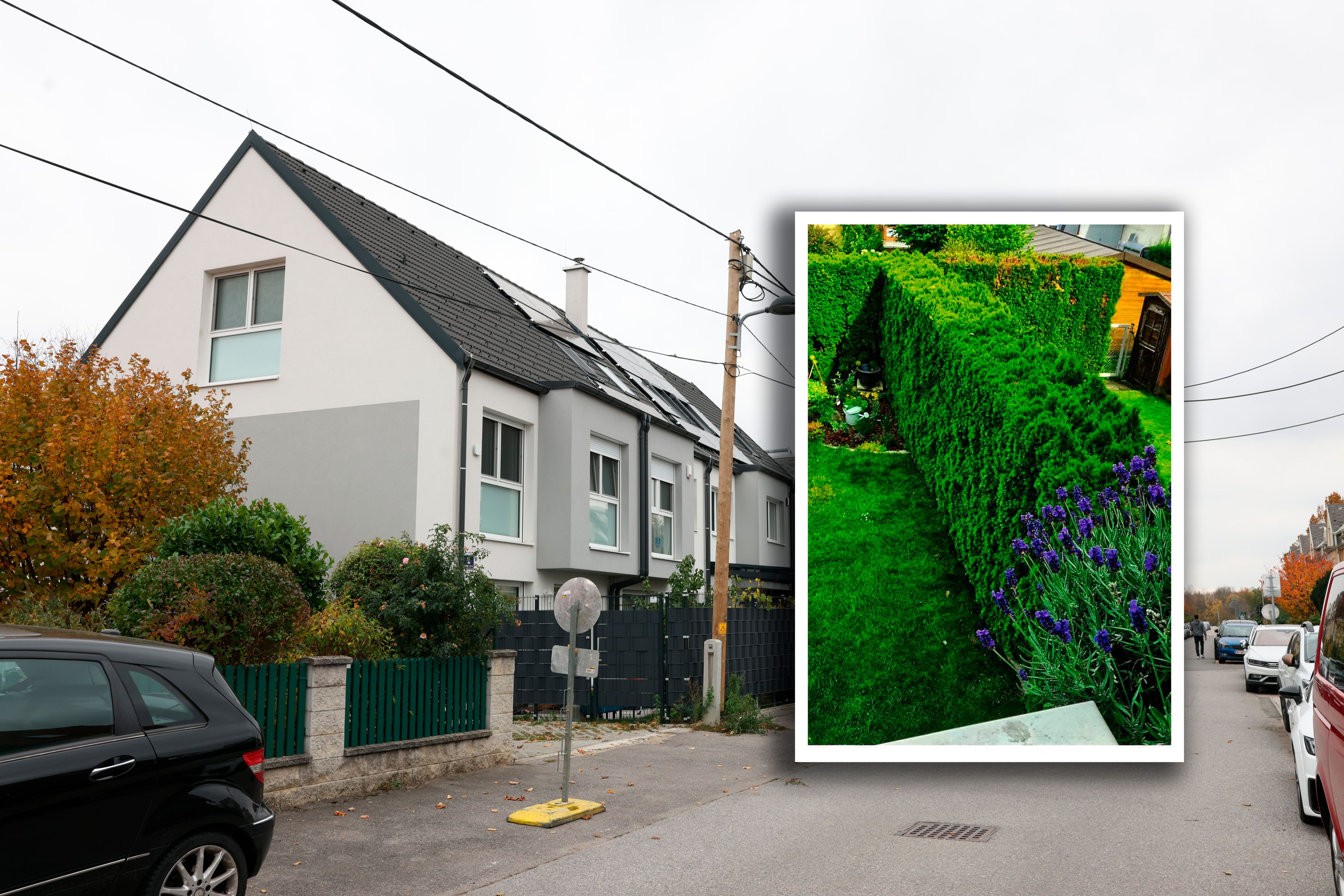 Skuriller Streit um diese abgeschnittene Hecke (l.) landet vor dem Strafgericht.