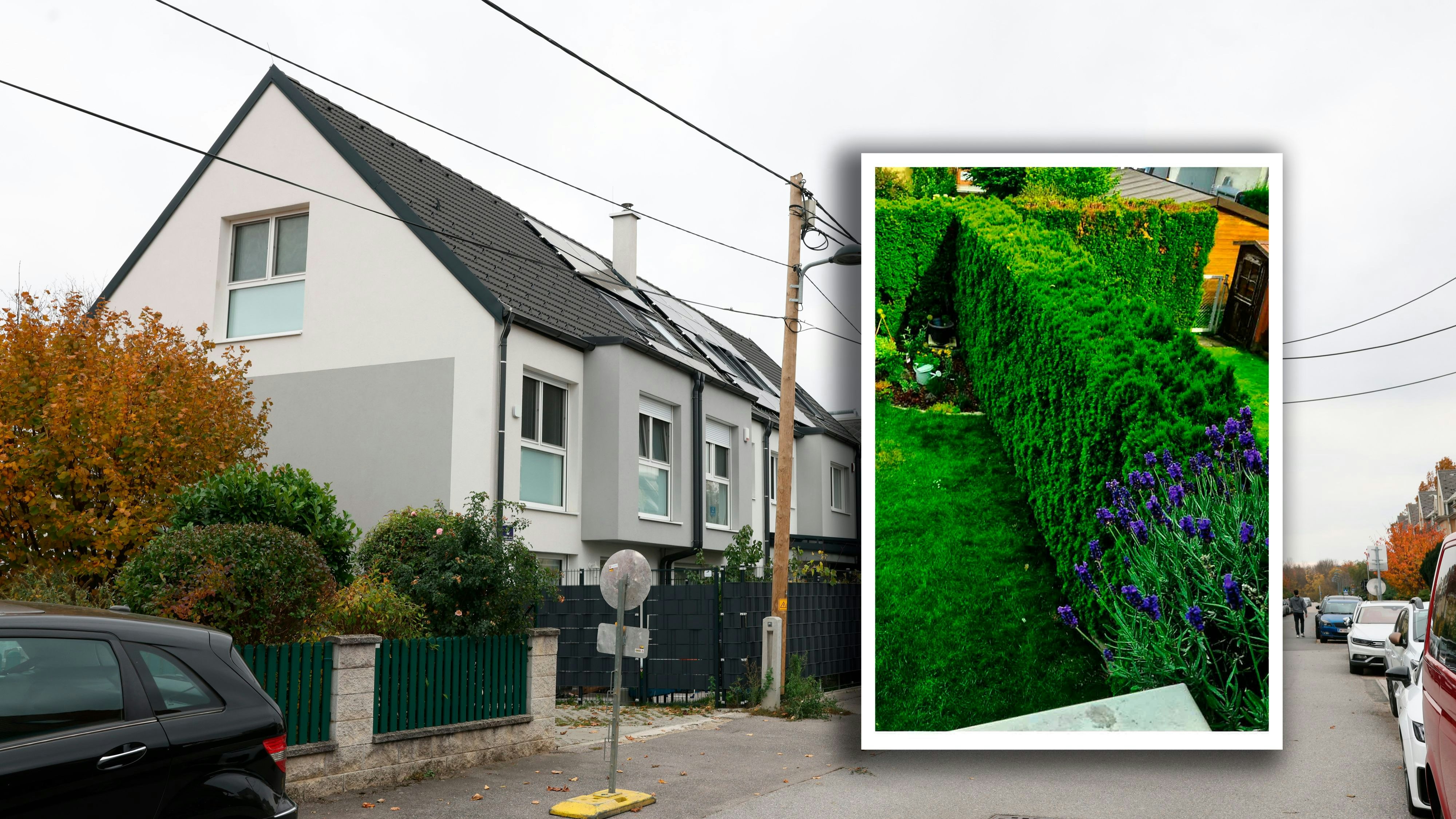 Heute.at - Besitzstörungsklage, weil Wiener Nachbars Hecke stutzte