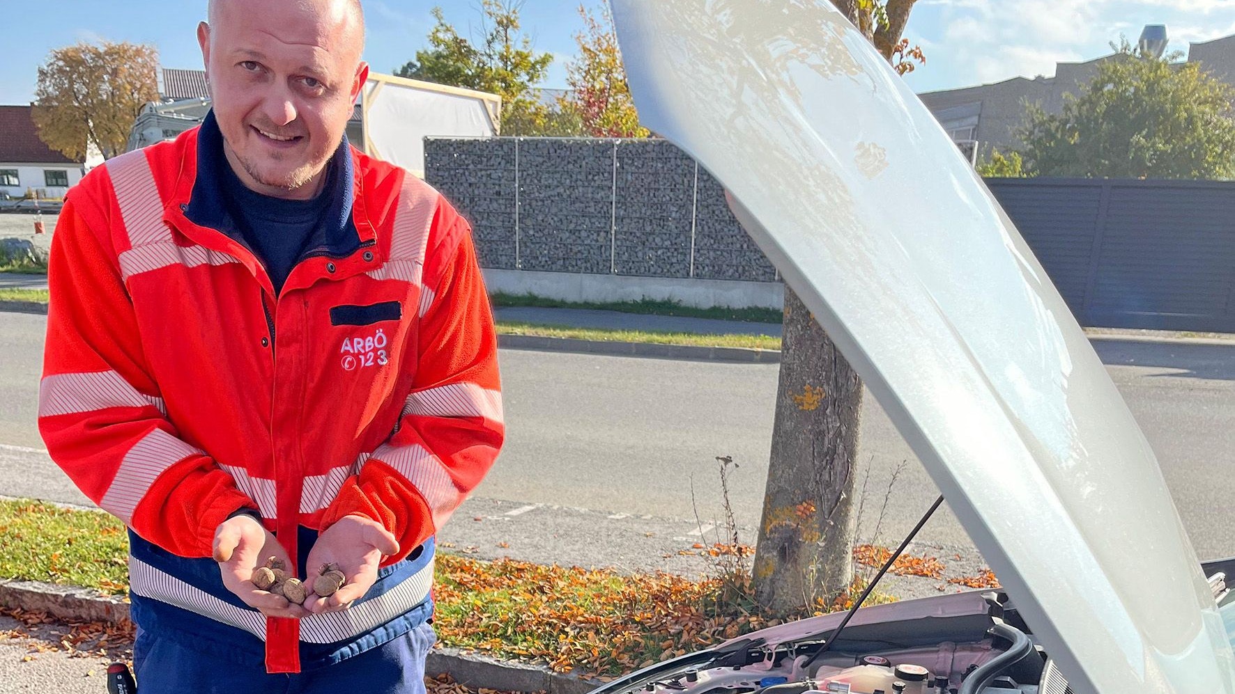 Heute.at - Freches Tier versteckt Nüsse im Motorraum – Autopanne
