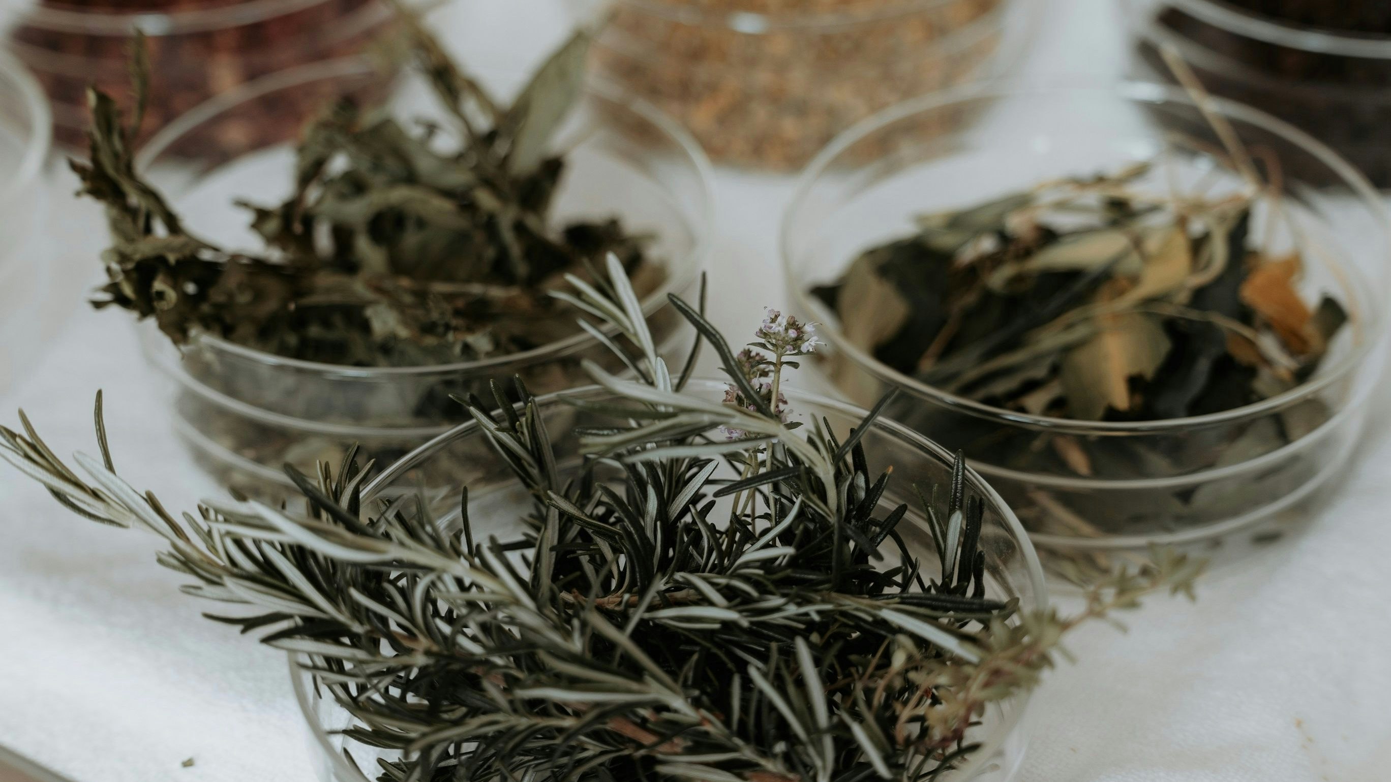 Kräuter aus dem Waldviertel sorgen vor ein besonderes Aufguss-Erlebnis.