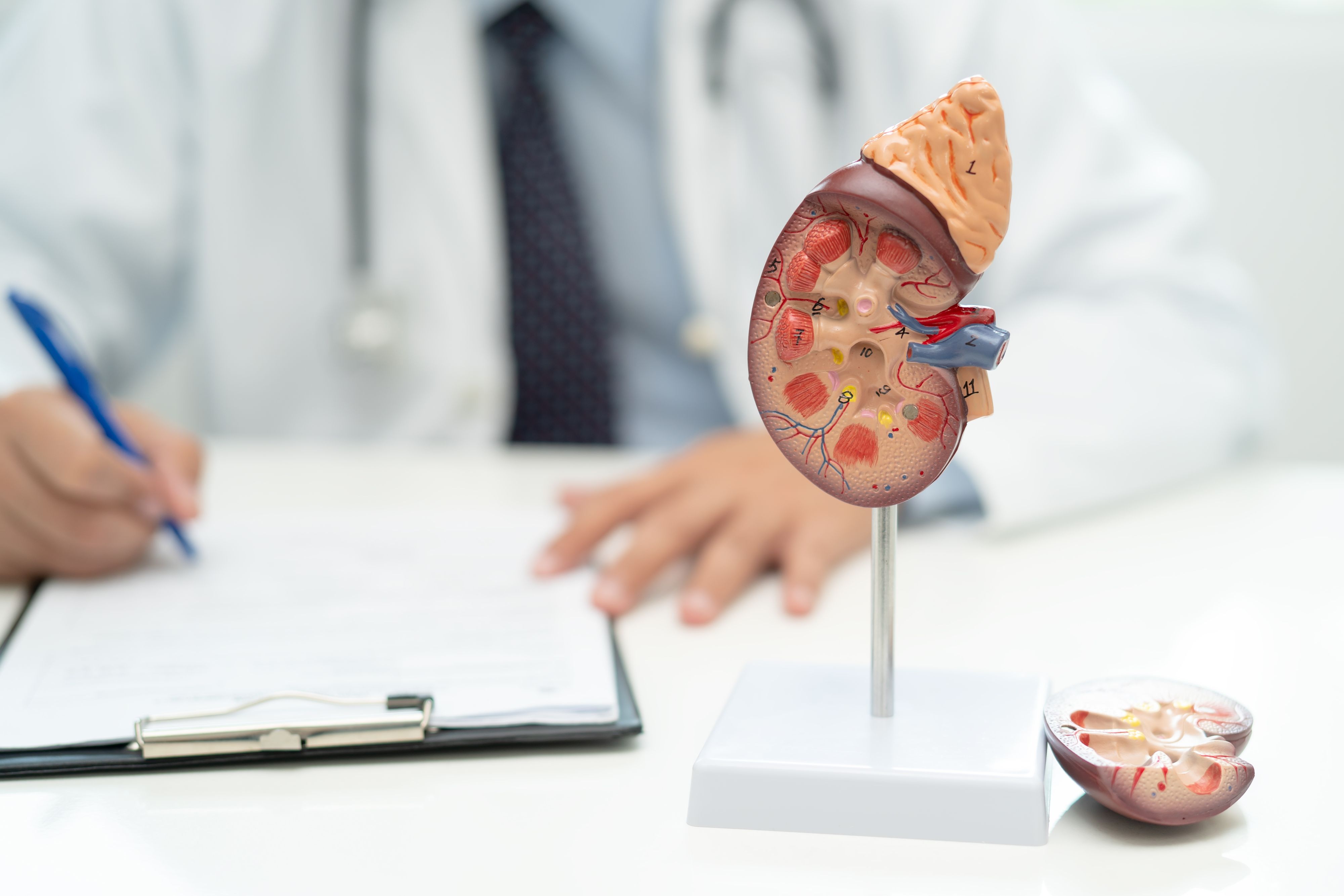 Im Bezirk Murau stehen die Menschen bald ohne Urologen da. Symbolbild.