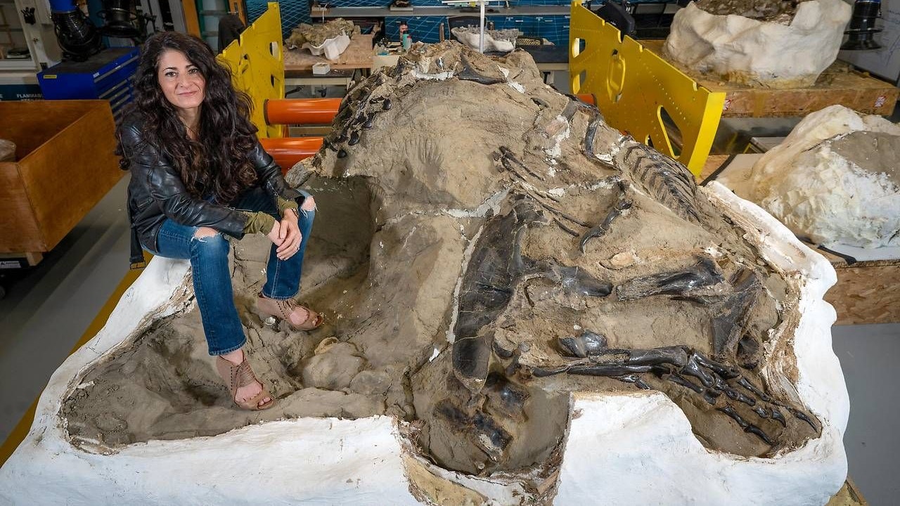 Heute.at - Neue Beweise! Ist alles über den T. Rex falsch?