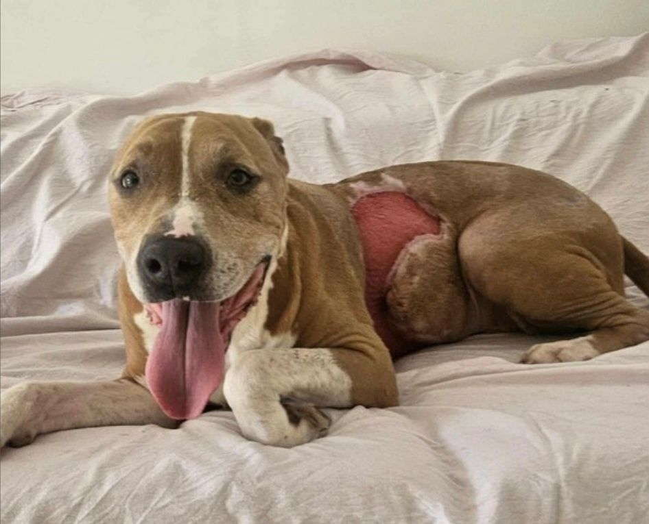 Was hast du nur erleben müssen, Richie? 