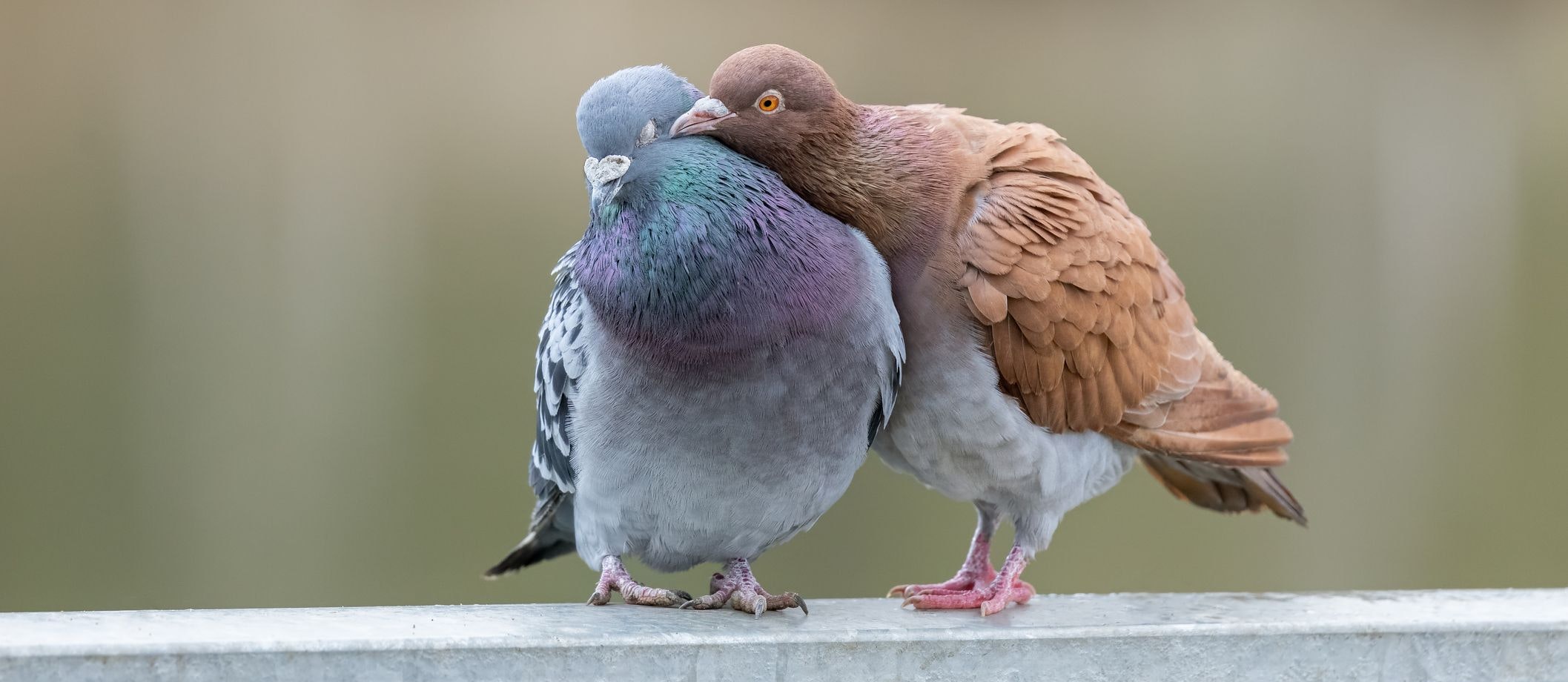 Verbandelt via ChatGPT, nicht alle finden das prickelnd
