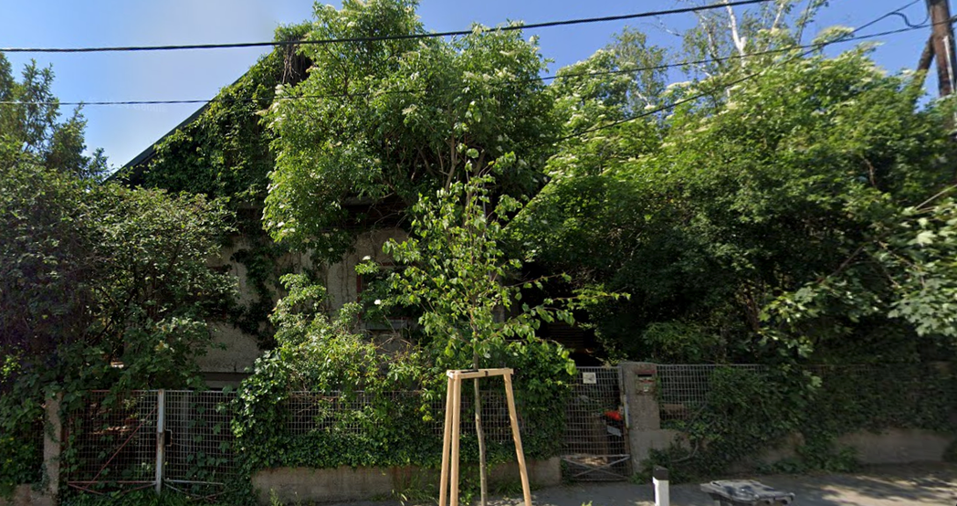 Heute.at - Nachbarn in Sorge um Horror-Haus: Explosionsgefahr!