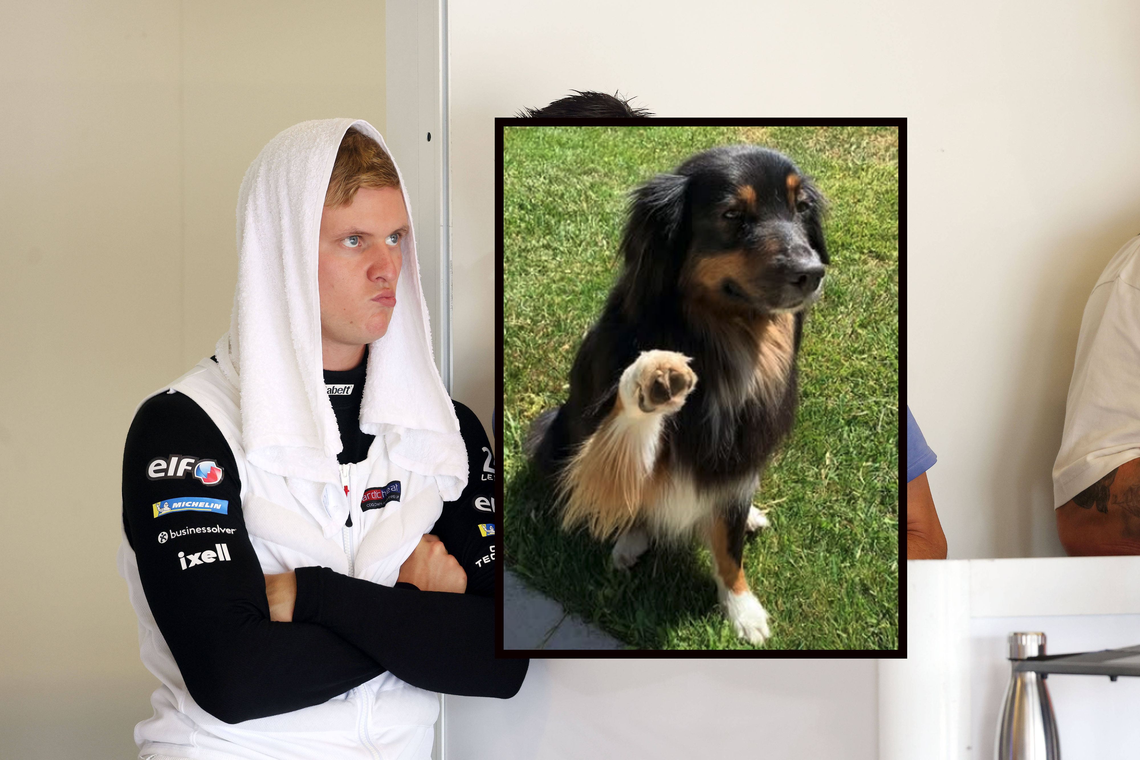 Mick Schumacher weint um Hund Angie.