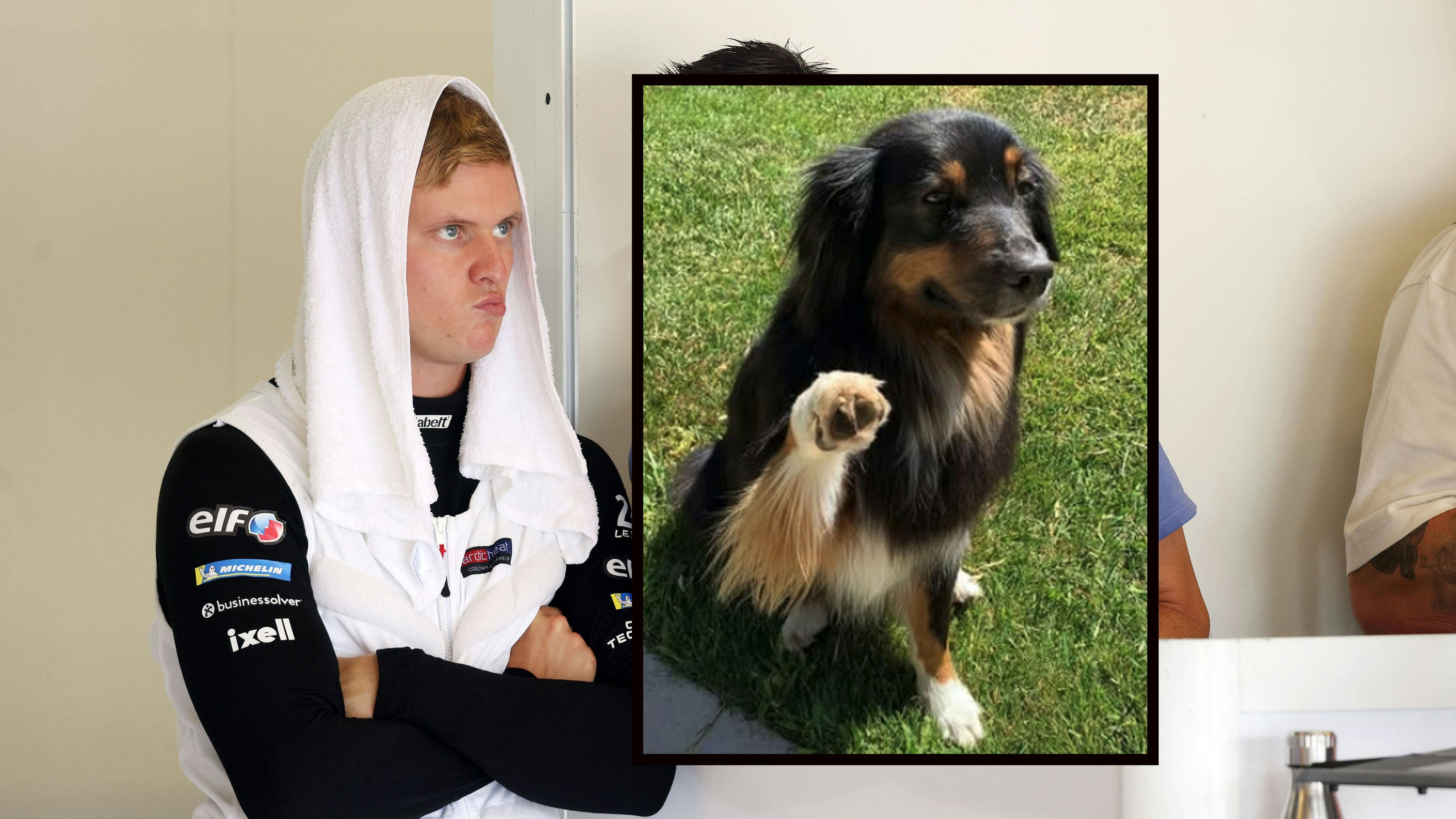 Heute.at - Schumacher trauert um Hündin: Sie war mein Schatten