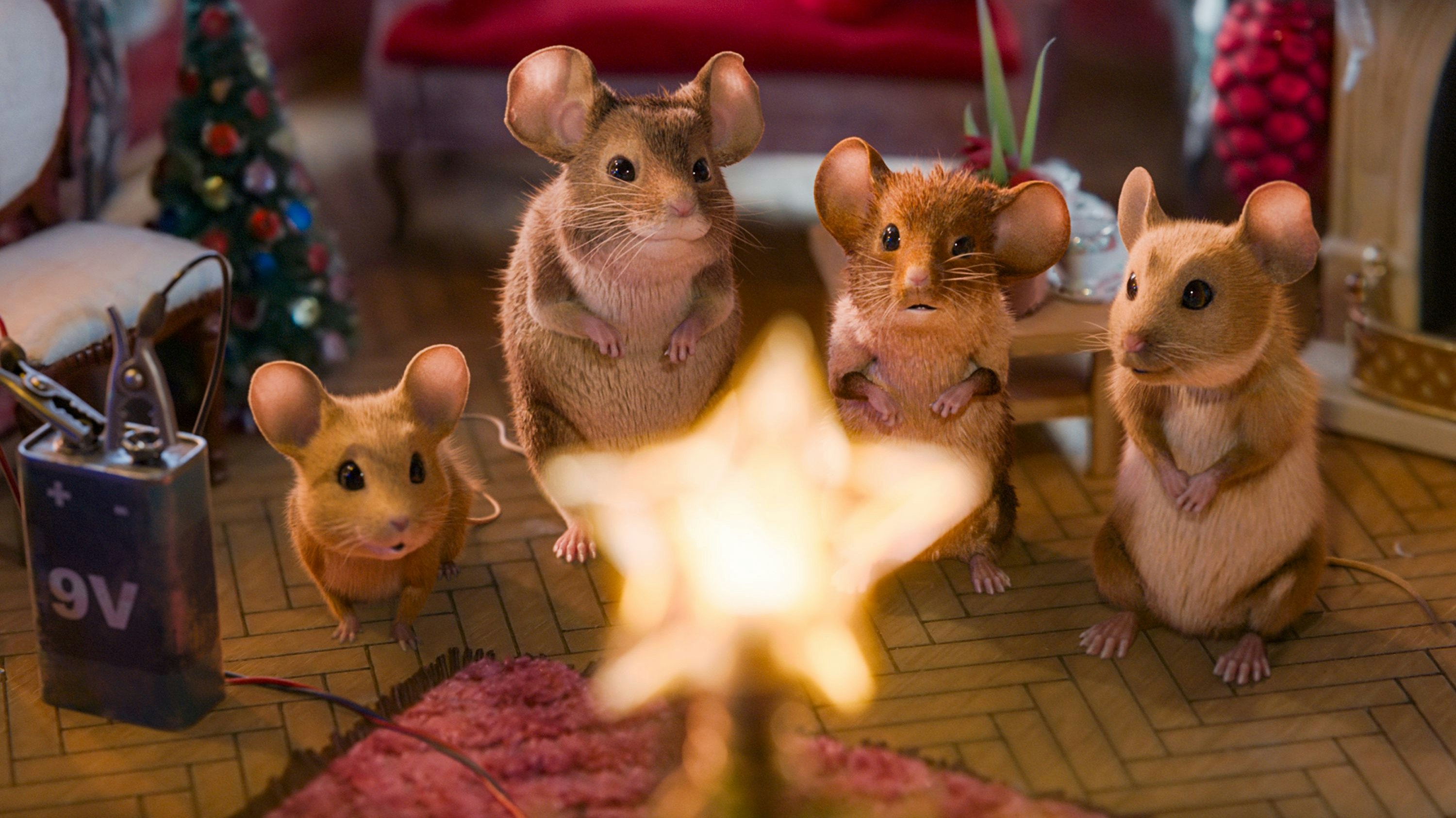 Heute.at - Mit Heute geht’s jetzt auf Mission Mäusejagd