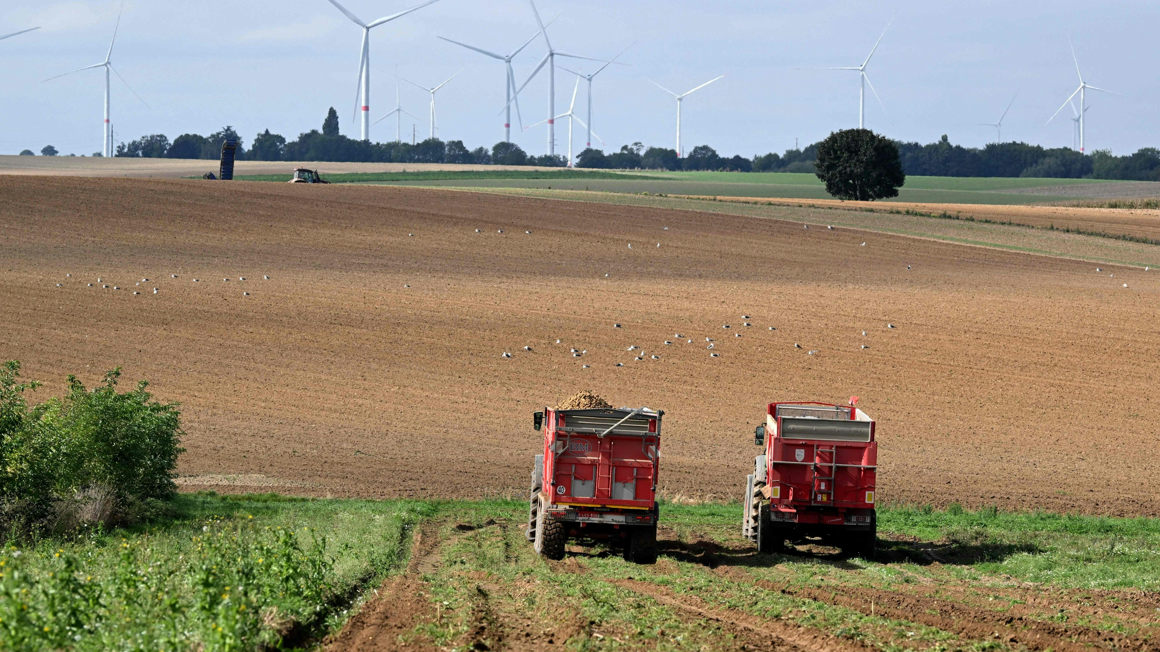 Heute.at - Bauern fordern: Heimische Erdäpfel statt Importware