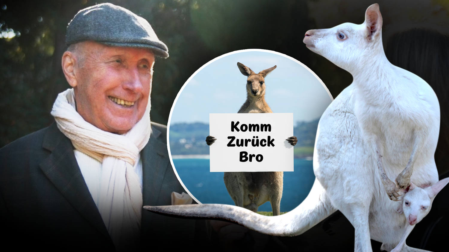 Heute.at - Känguru-Dieb gesucht: Ich war's nicht, hab ein Alibi