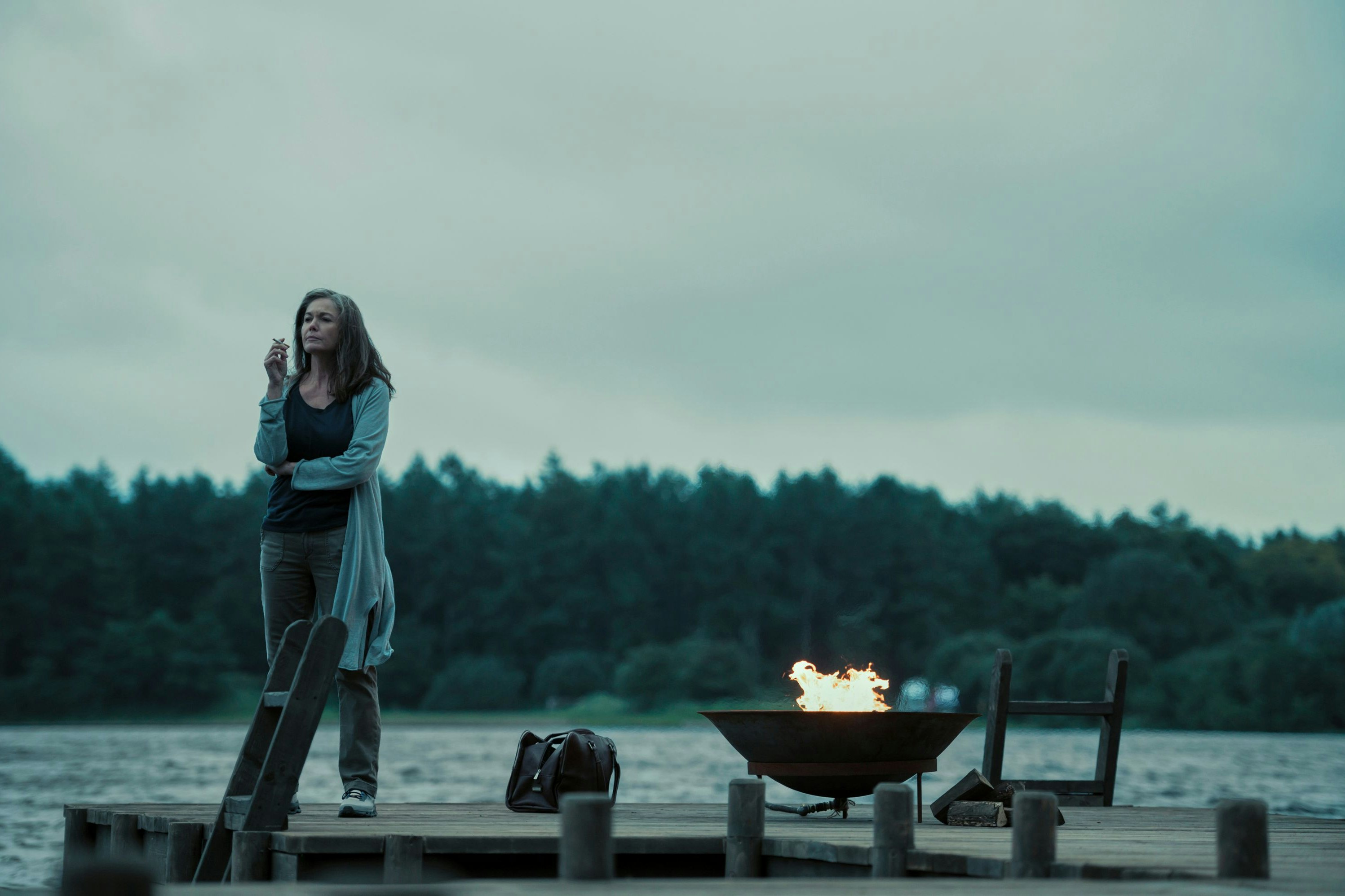 Einige Jahre später sind die USA zu einem Ein-Parteien-Staat geworden und Uni-Professorin Ellen ist verzweifelt