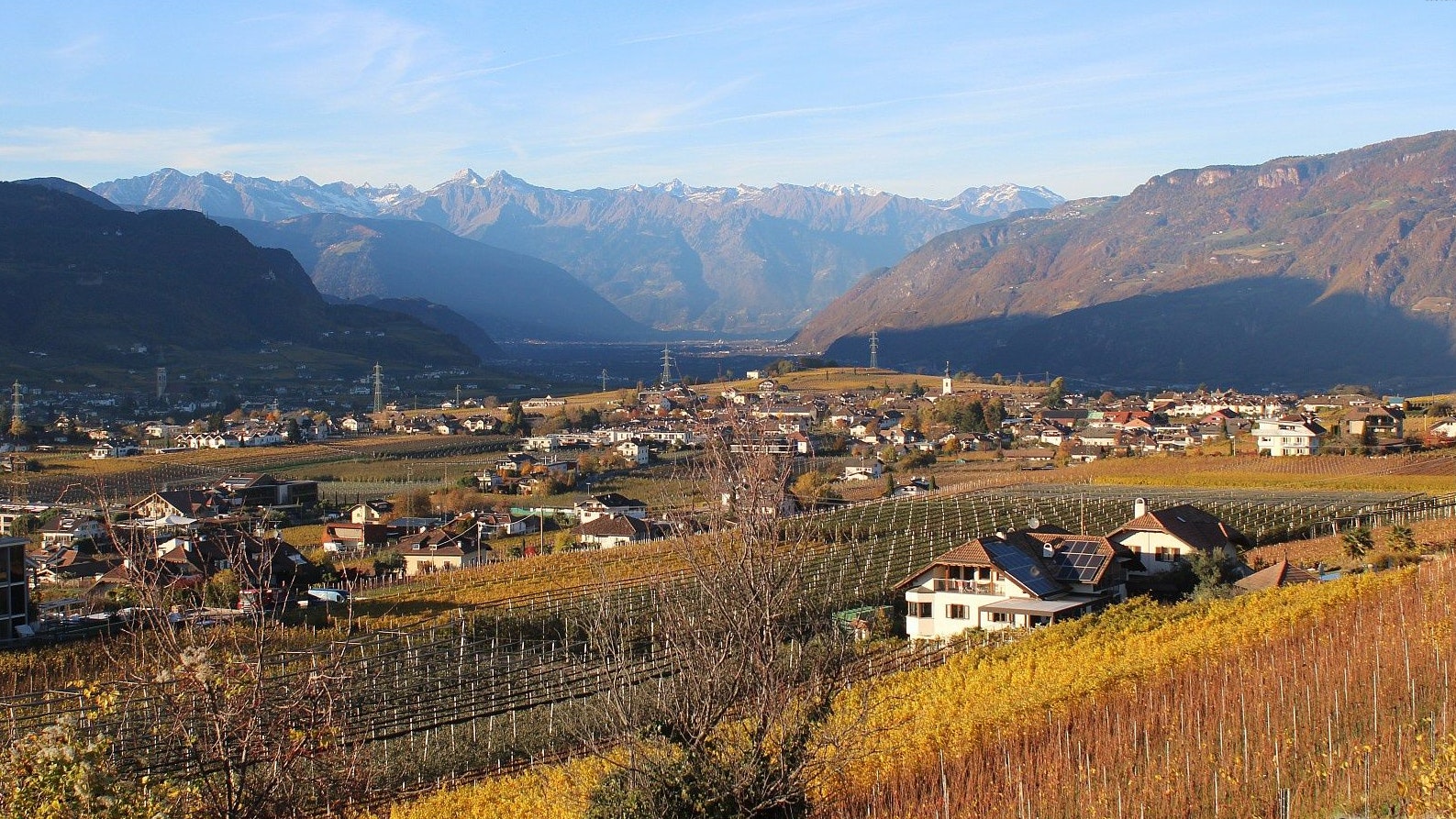 Heute.at - Ungewöhnlich – Meteorologe lässt jetzt aufhorchen