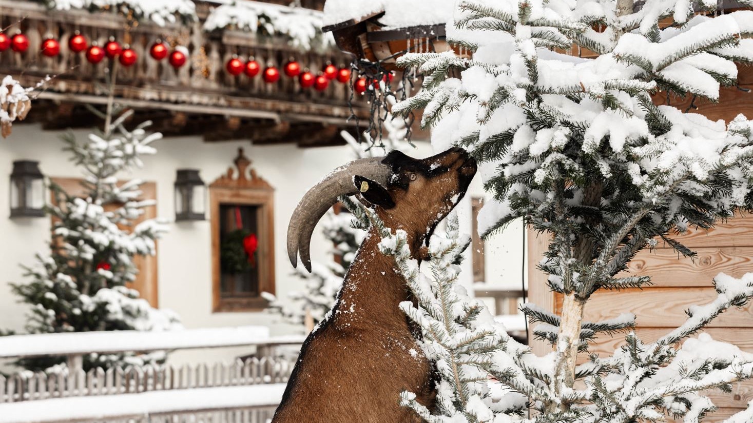 Mit Schnee kann man eigentlich in Henndorf jedes Jahr rechnen. 