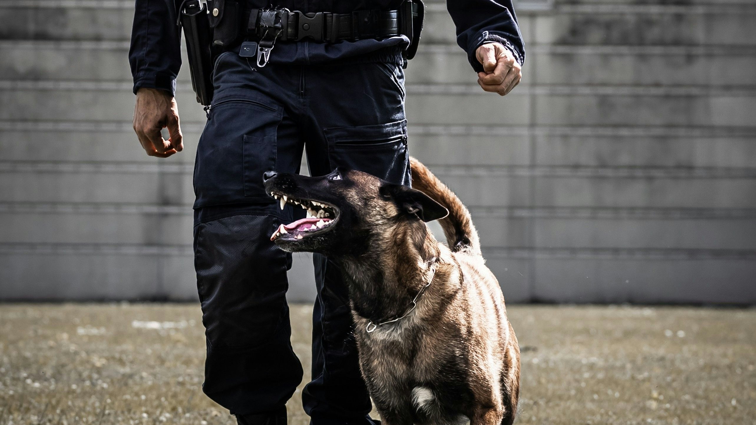 Polizei-Diensthundeführer Christian S. mit Diensthund „Loki“. 