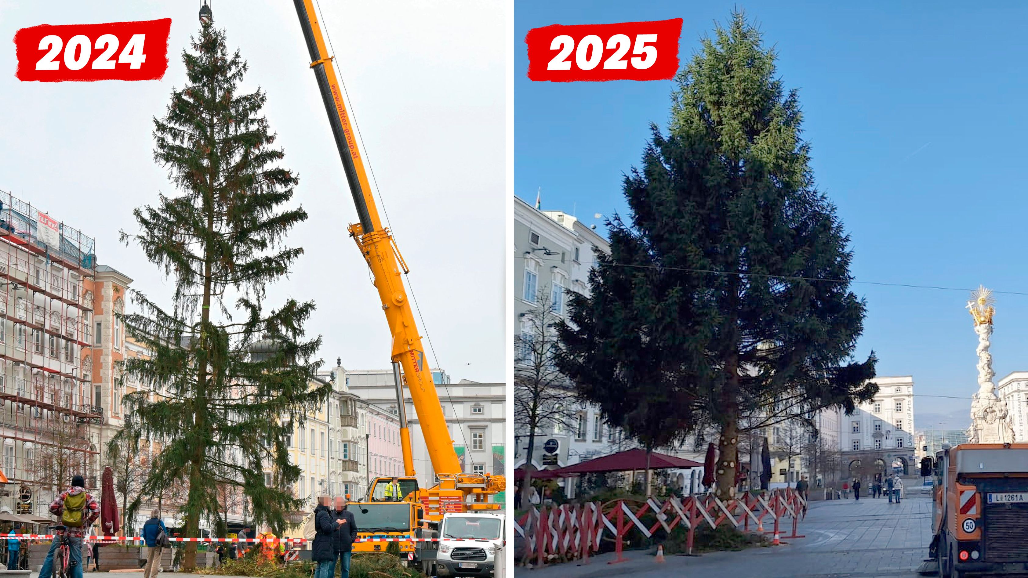 Der neue Christbaum am Hauptplatz. Kein Vergleich zum 