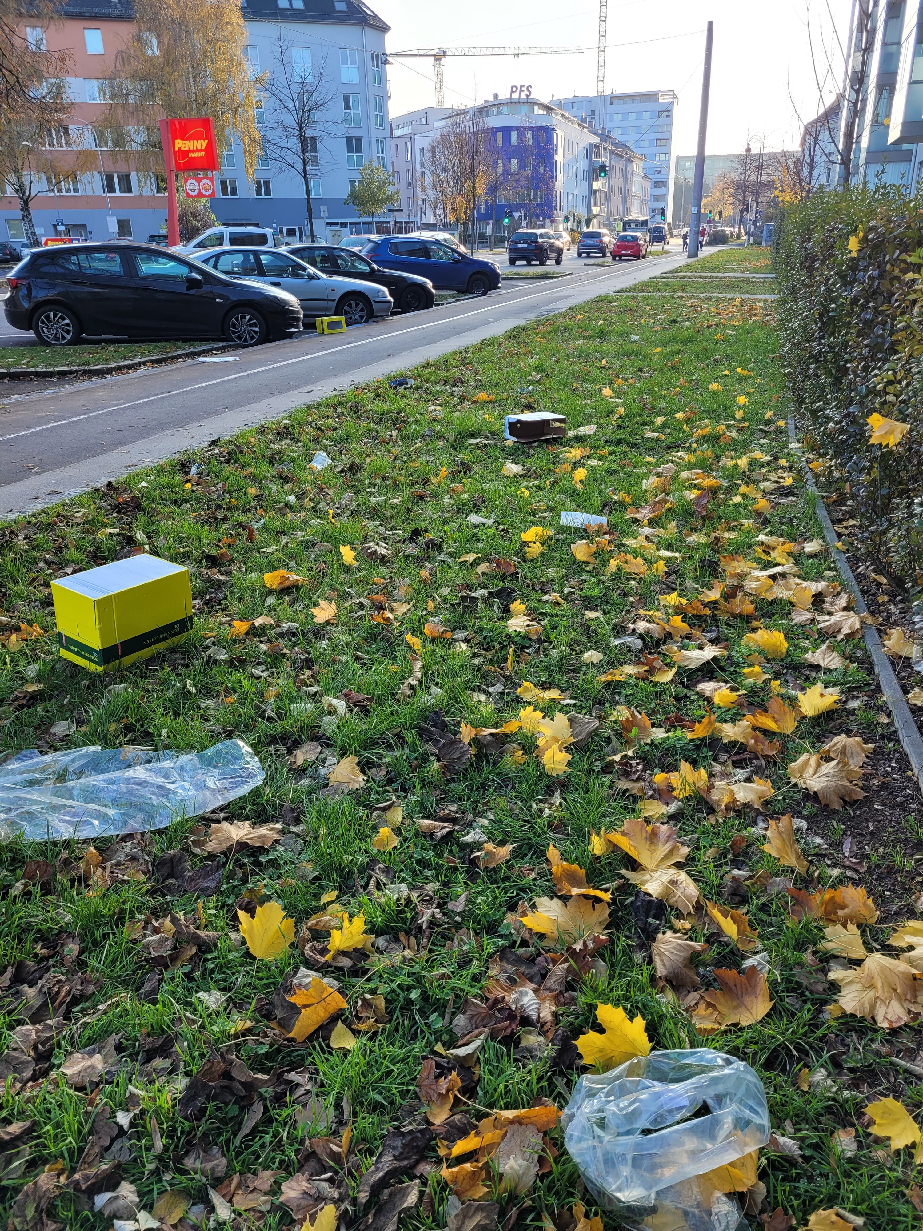 Eine Linzerin beschwert sich seit Wochen über den Müll auf der Straße.