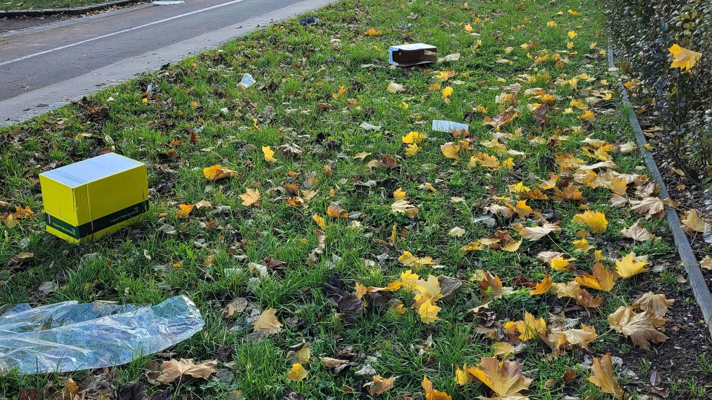 Heute.at - Schimmel, Dreck – Frau stinkt Müllentsorger gewaltig