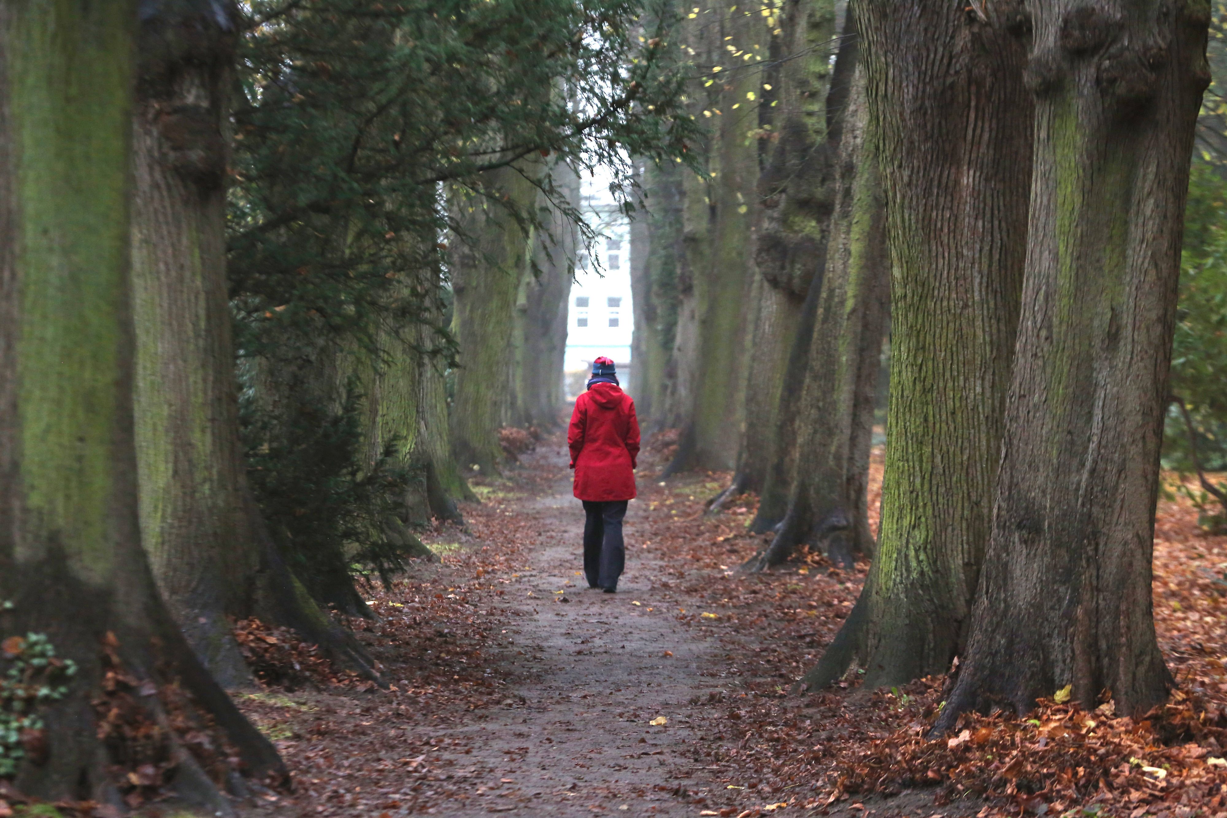 In Österreich wird es jetzt deutlich kühler.