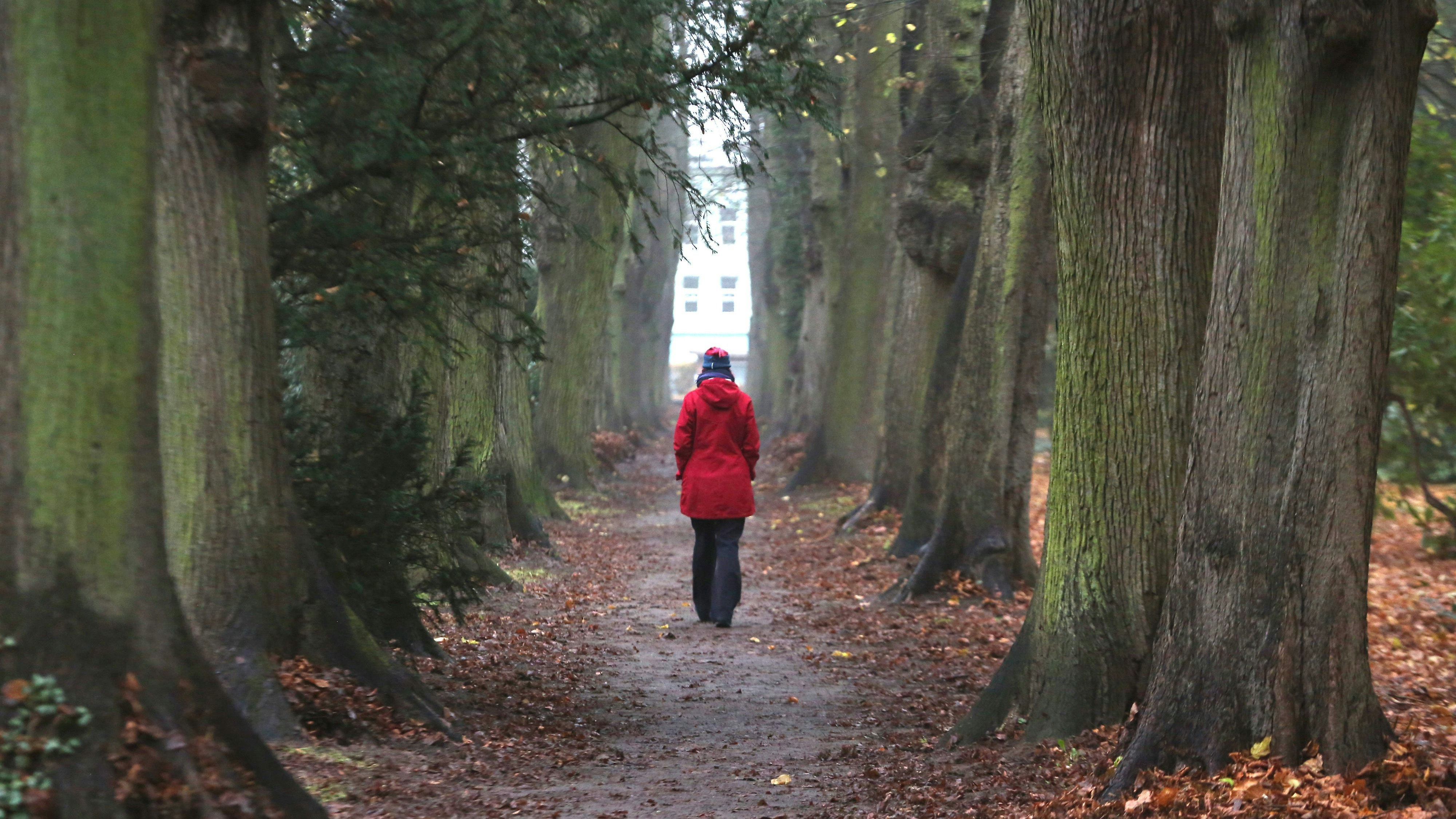 Heute.at - Meteorologe sagt jetzt Temperatursturz in Österreich an
