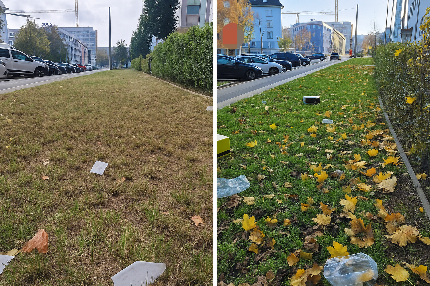 Eine Linzerin beschwert sich seit Wochen erfolglos wegen Mülls auf dem Gehweg.