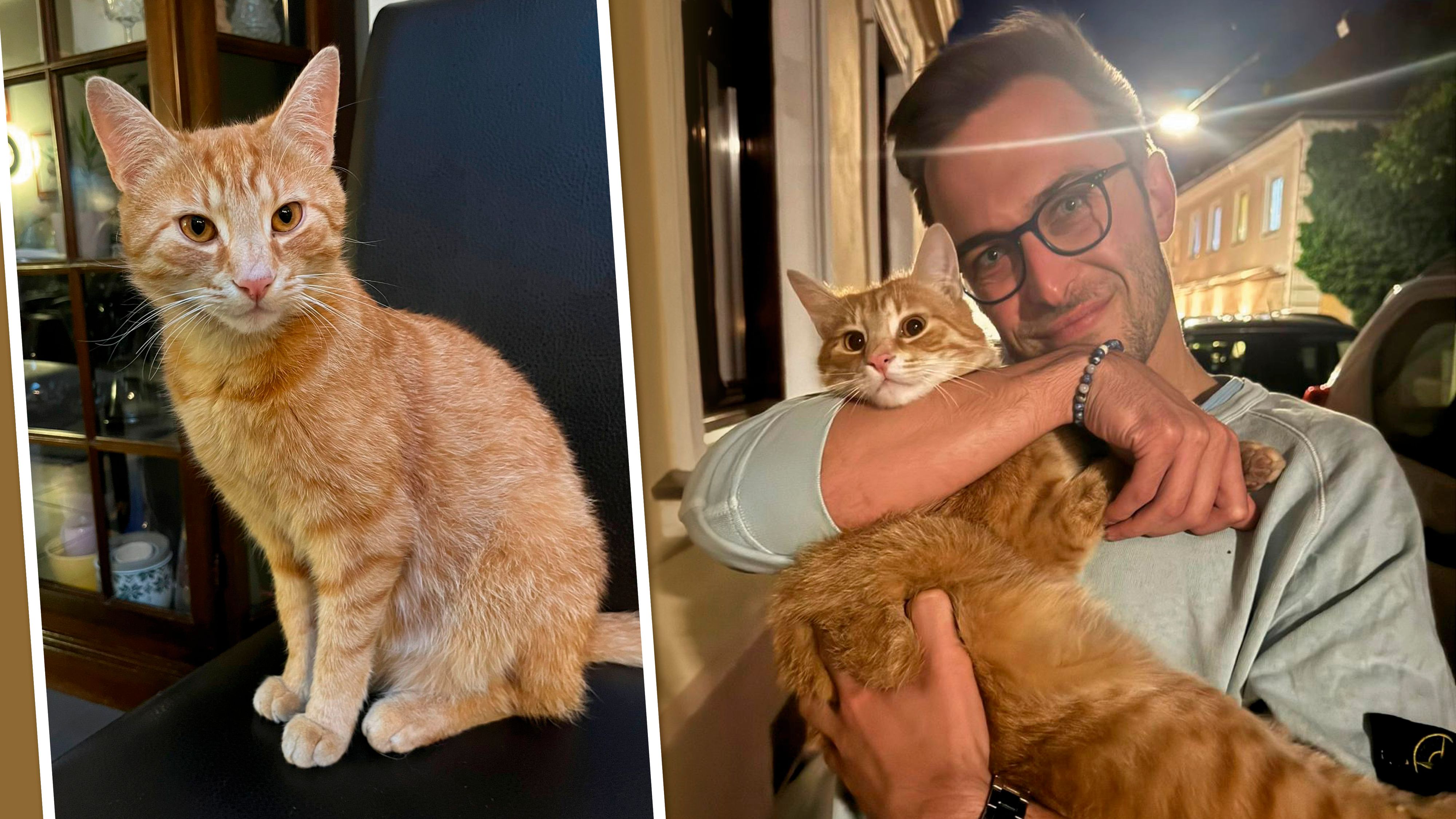 Kater Larry macht mittlerweile regelmäßig die St. Pöltner Innenstadt unsicher. Besitzer Christoph Zawodsky (rechts) nennt ihn einen 