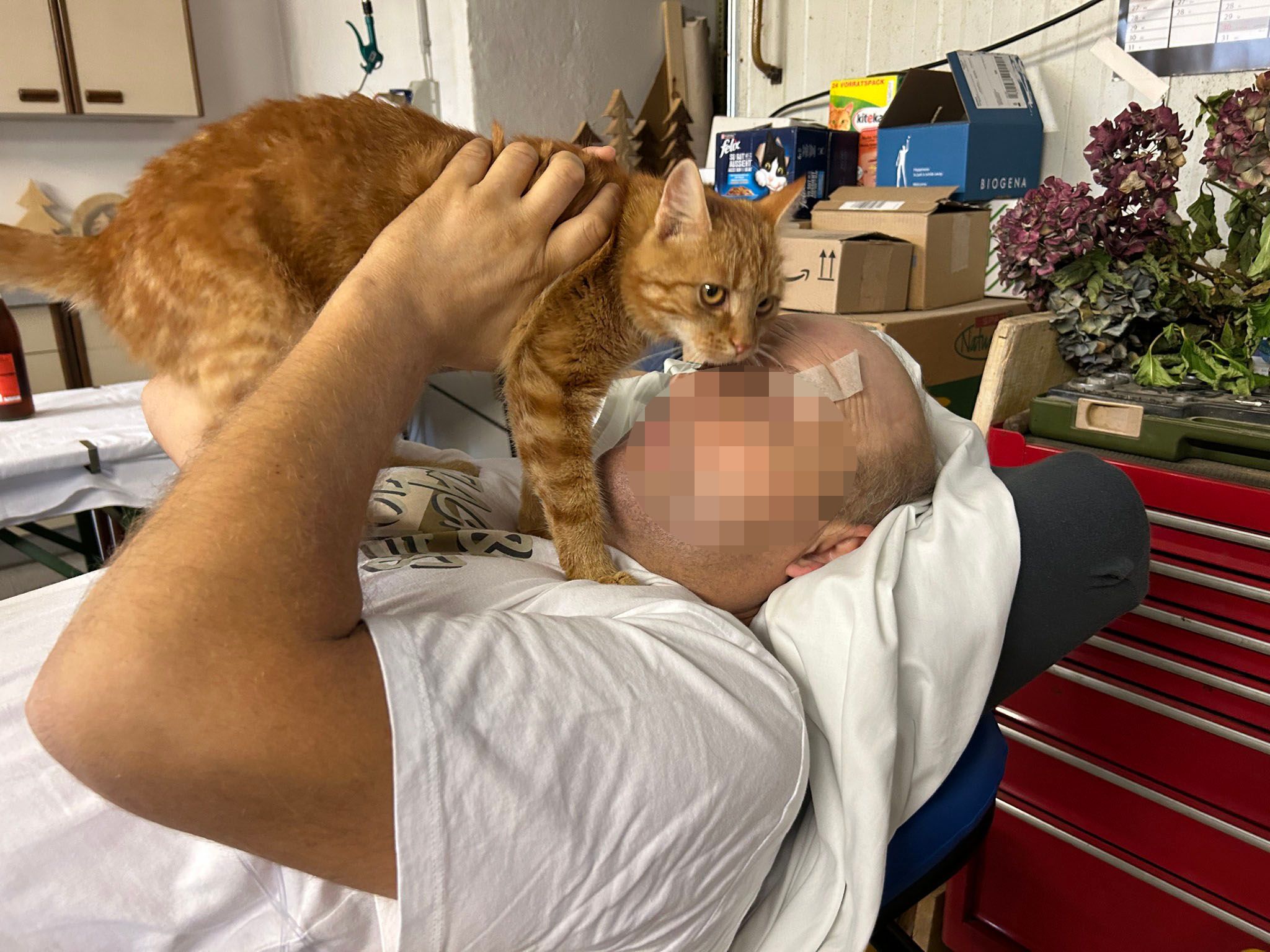 Auch seine geliebte Katze konnte der sterbenskranke Patient ein letztes Mal streicheln.