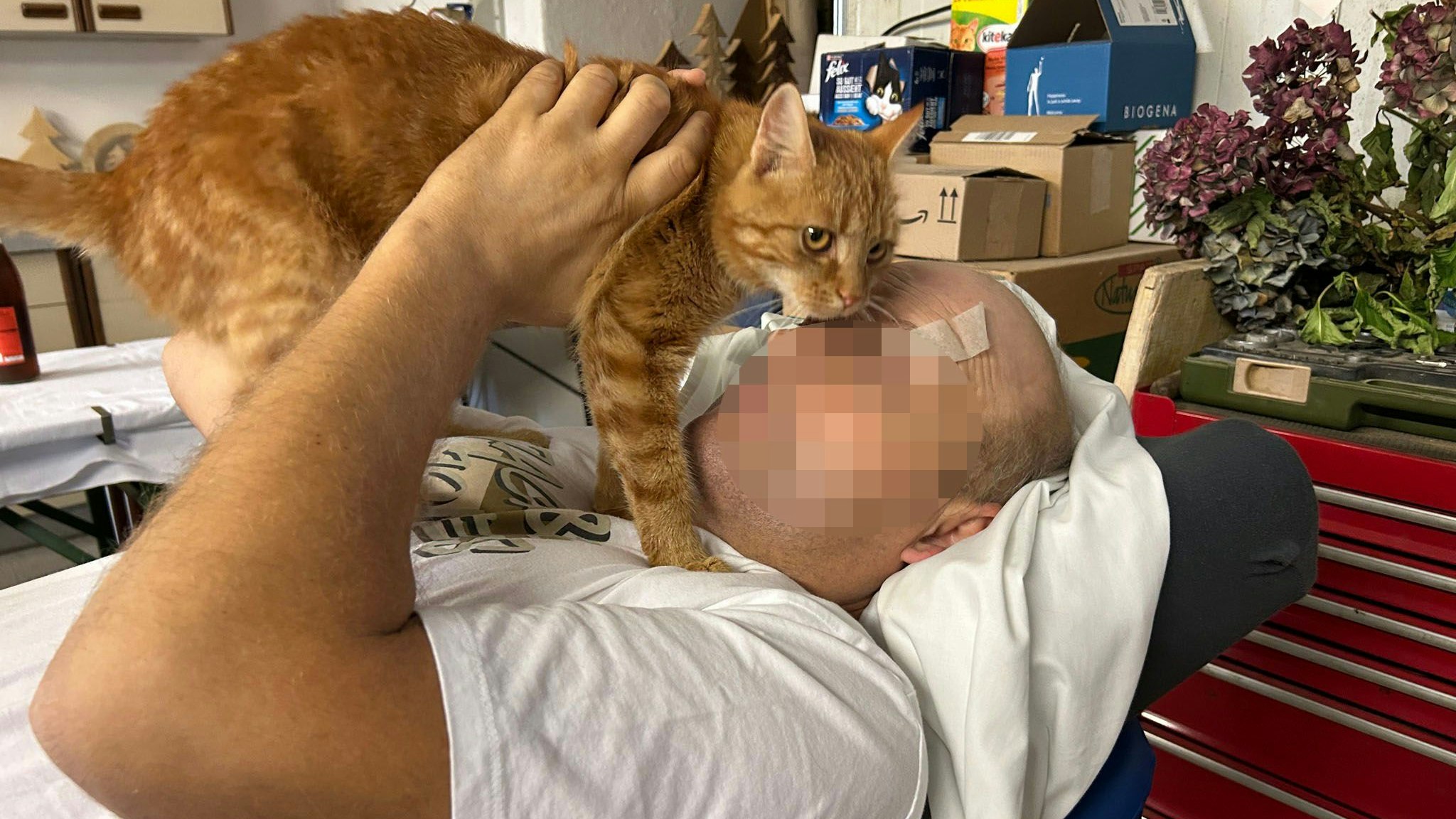 Heute.at - Klaus feiert noch seinen 43. Geburtstag, dann stirbt er