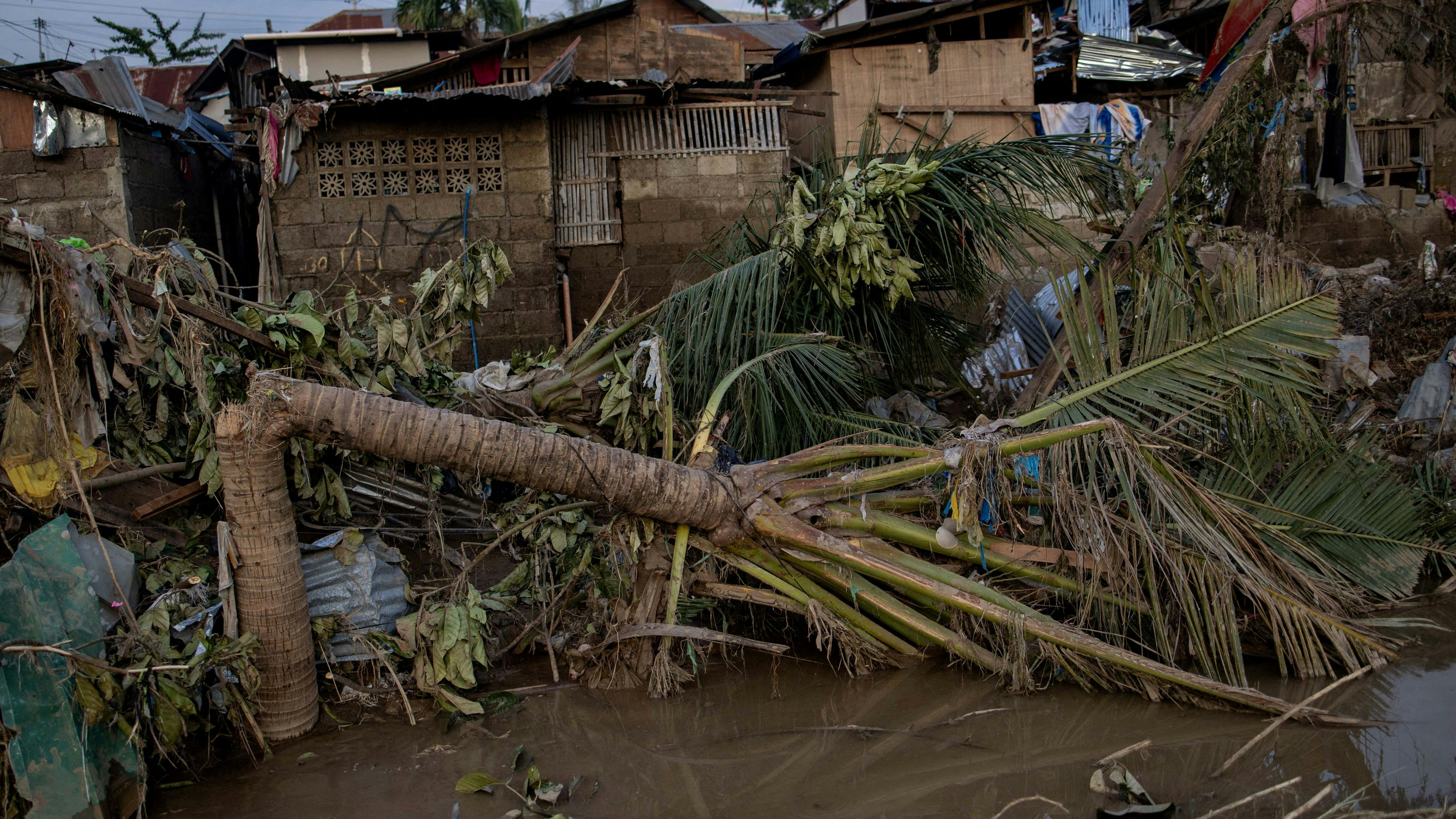 Heute.at - Taifun Kalmaegi wütet – Hunderte Tote befürchtet
