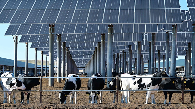 Am 10. November startet der Weltklimagipfel in Brasilien. Die wirkliche Revolution findet abseits davon statt. China erzeugt bereits ein Drittel des weltweiten Stroms und wird im Bereich der sauberen Energie Märkte und Politik neu gestalten. Warum das riskant ist.