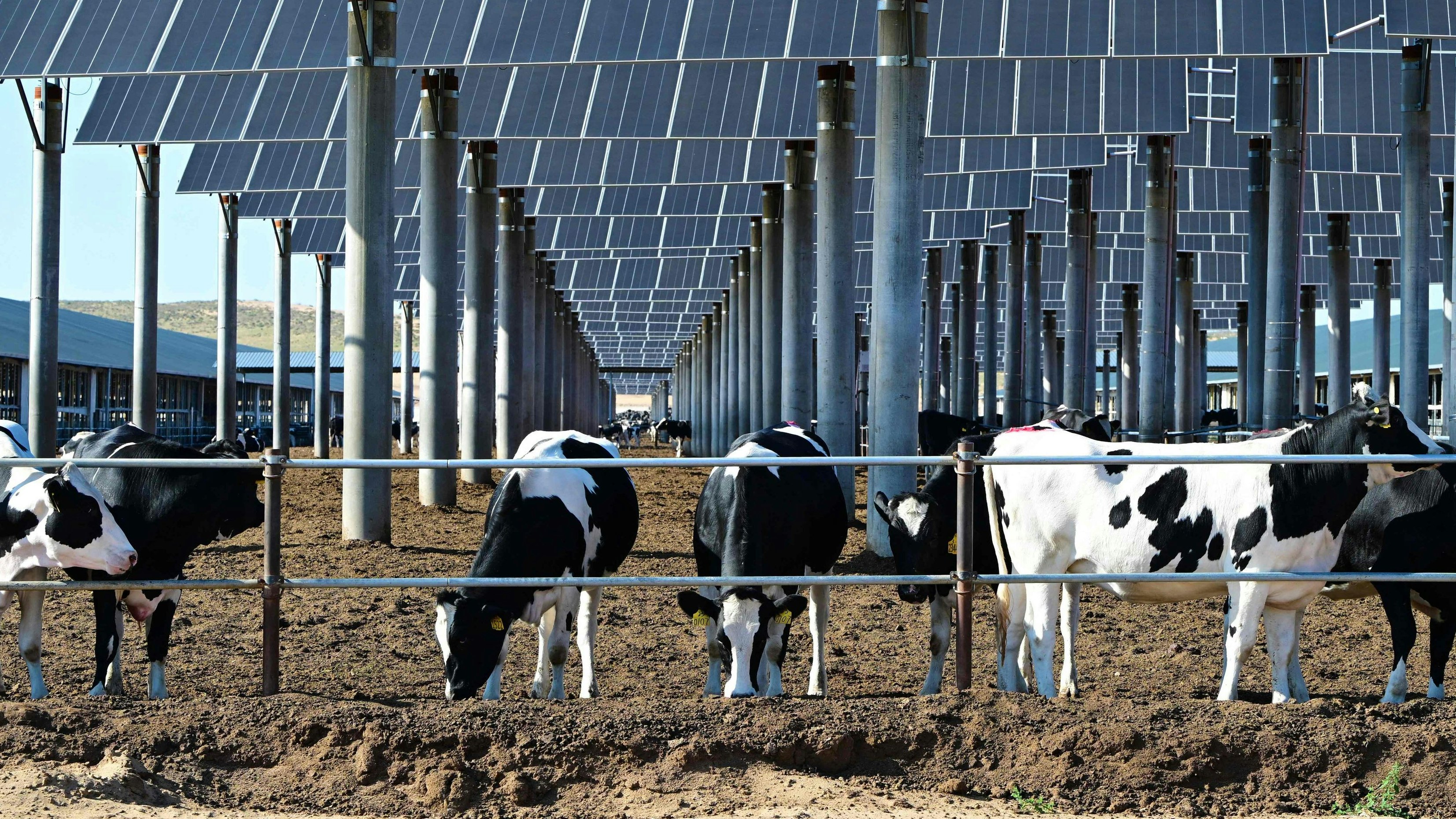 China erzeugt ein Drittel des Stroms und wird den Bereich der sauberen Energie neu gestalten