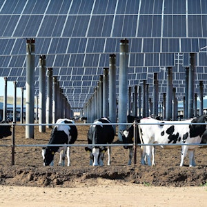 Wie China zur Klima-Supermacht wurde, was wir daraus lernen können